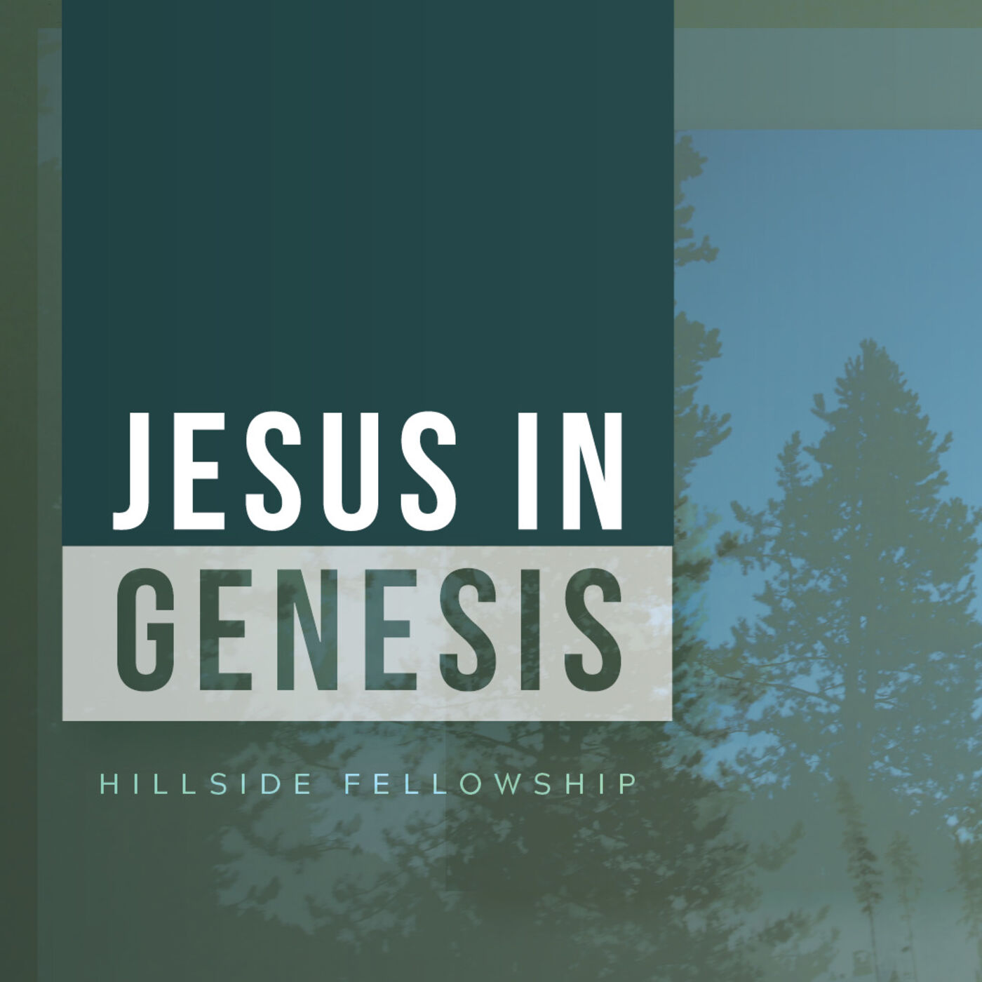 Jesus in Genesis: The Last Chapter in Genesis