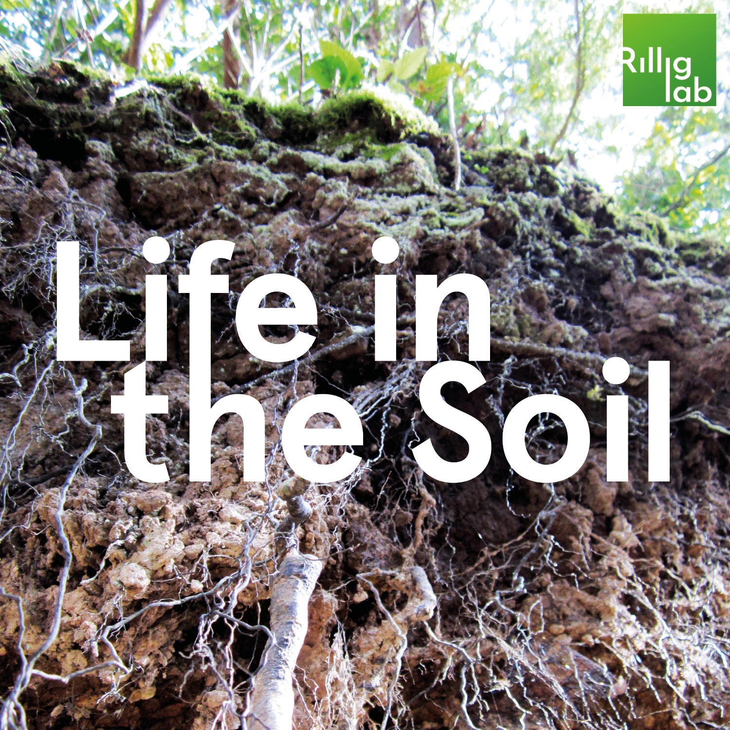 Future Ecologies presents: Life in the Soil