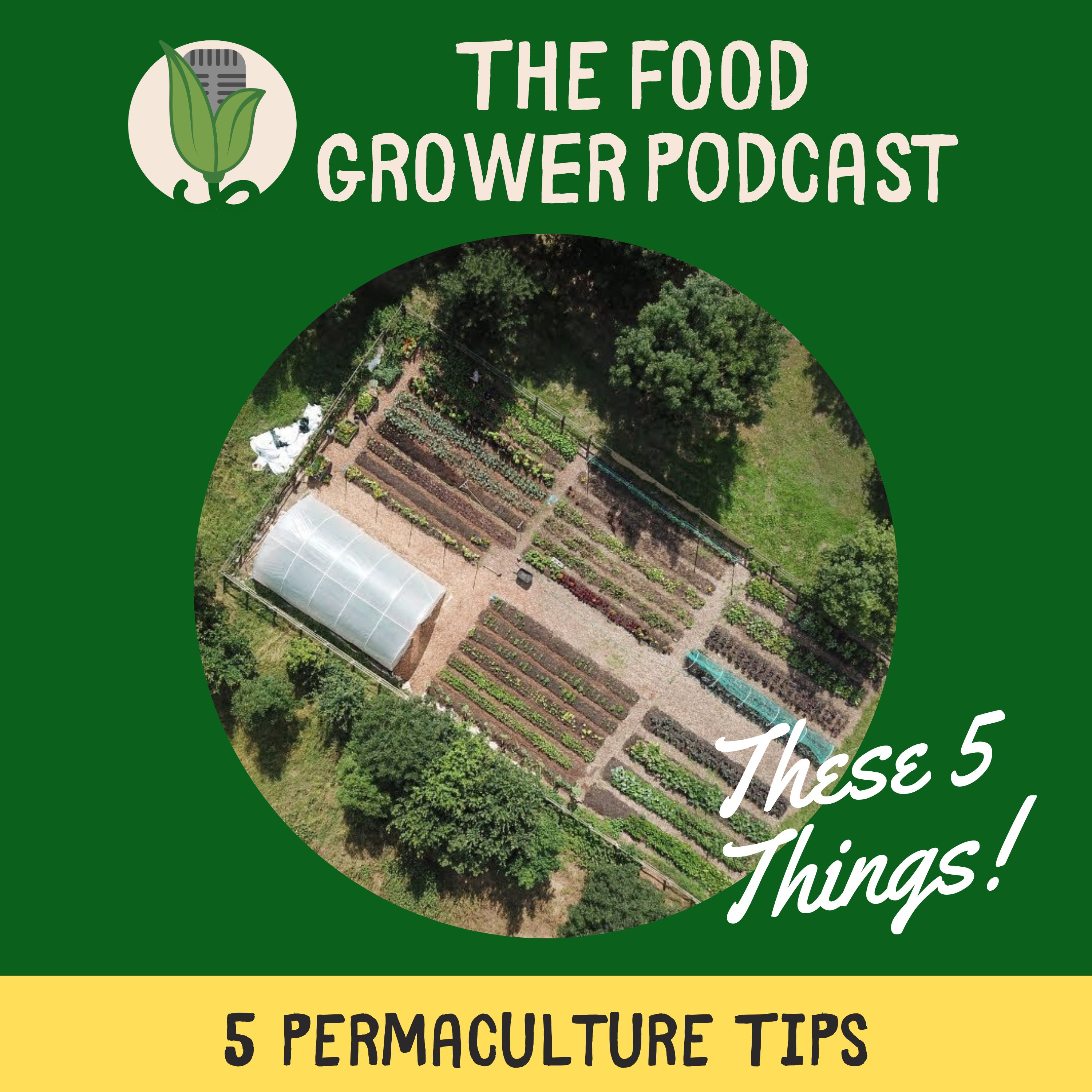 5 Permaculture Tips - These 5 Things Episode