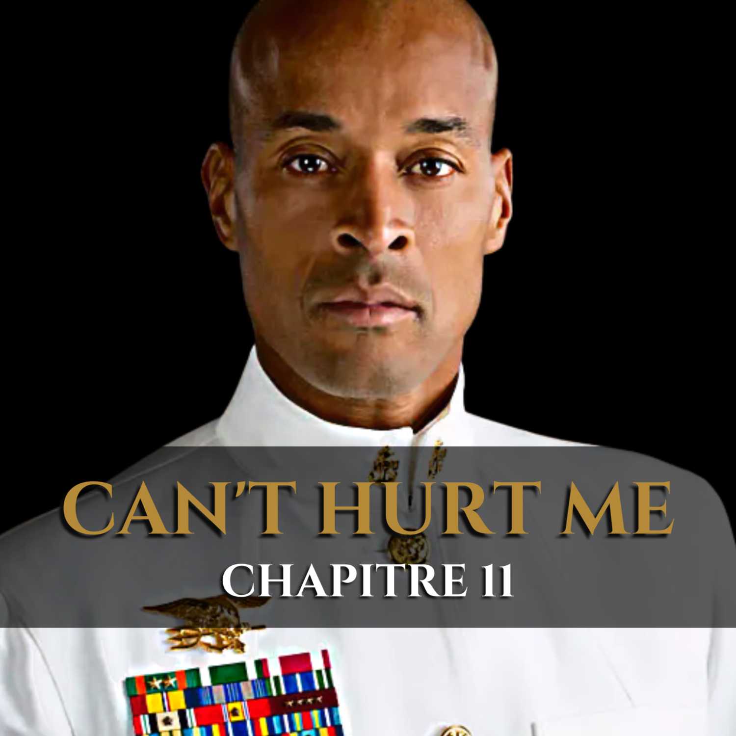 [Français] CAN'T HURT ME | DAVID GOGGINS | Chapitre 11/11