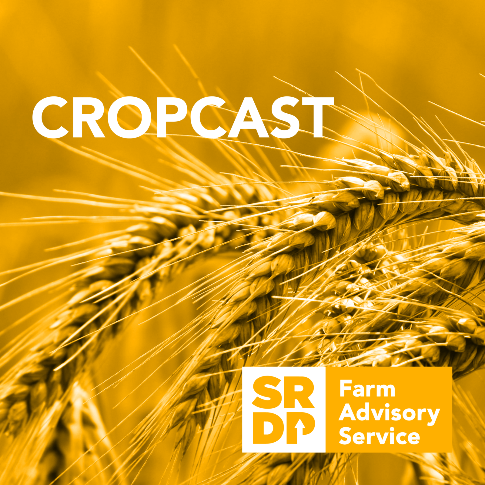 ⁣CropCast - Measuring a Healthy Soil