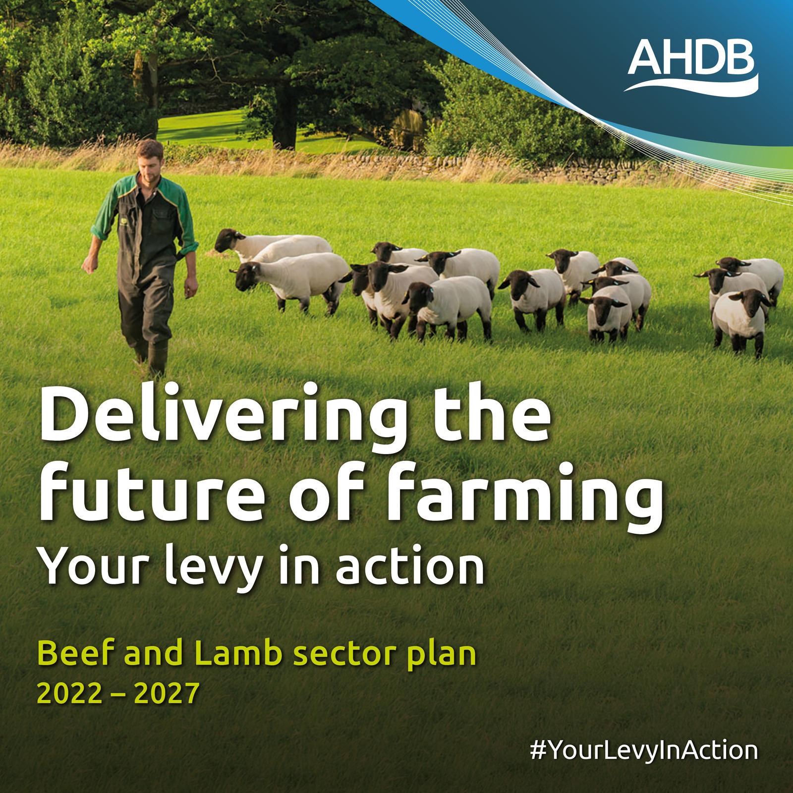 AHDB’s Beef & Lamb Sector Council publish 2022–2027 plan