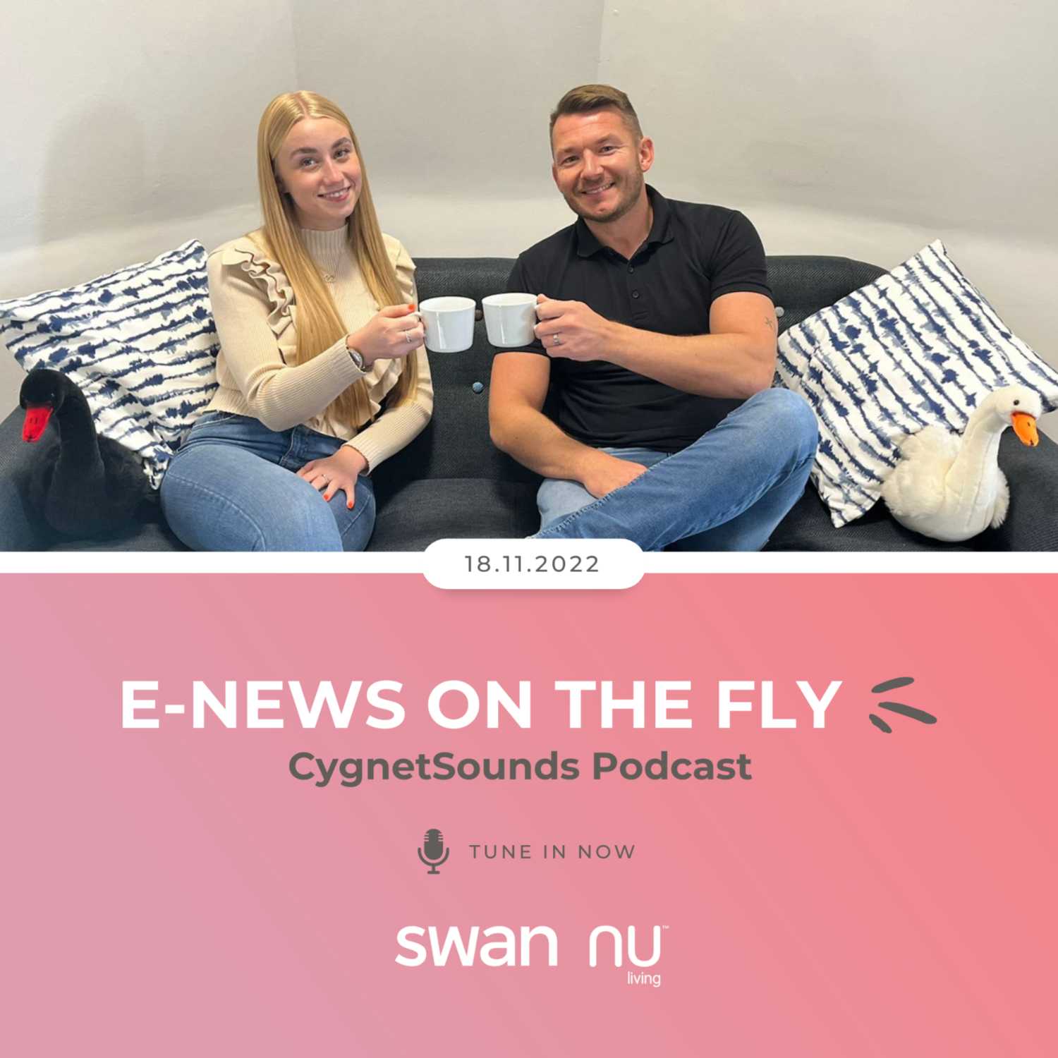 E-News on the Fly 18.11.22