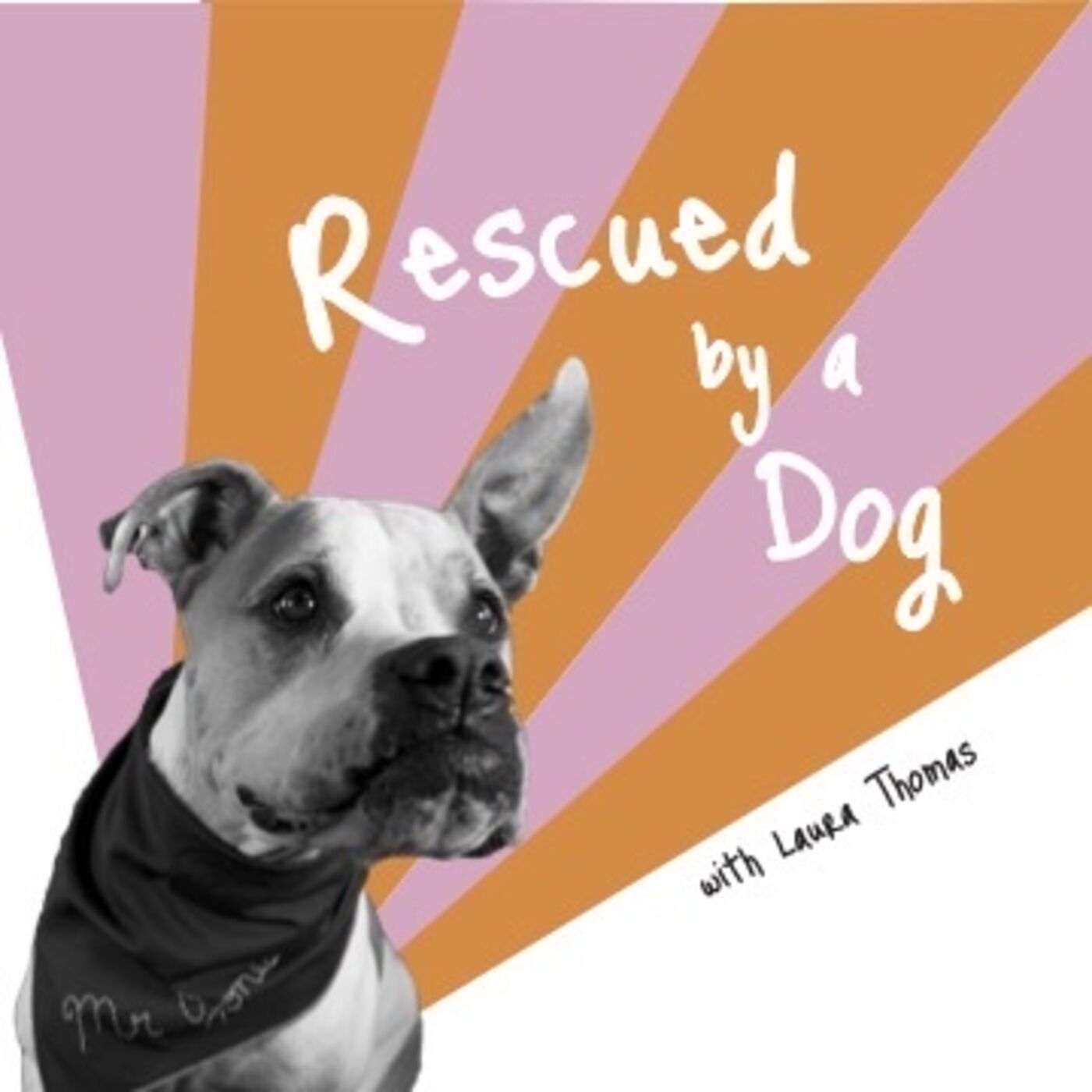 Boxer Pup Hadley Revives her Grateful Mama after a Suicide Attempt