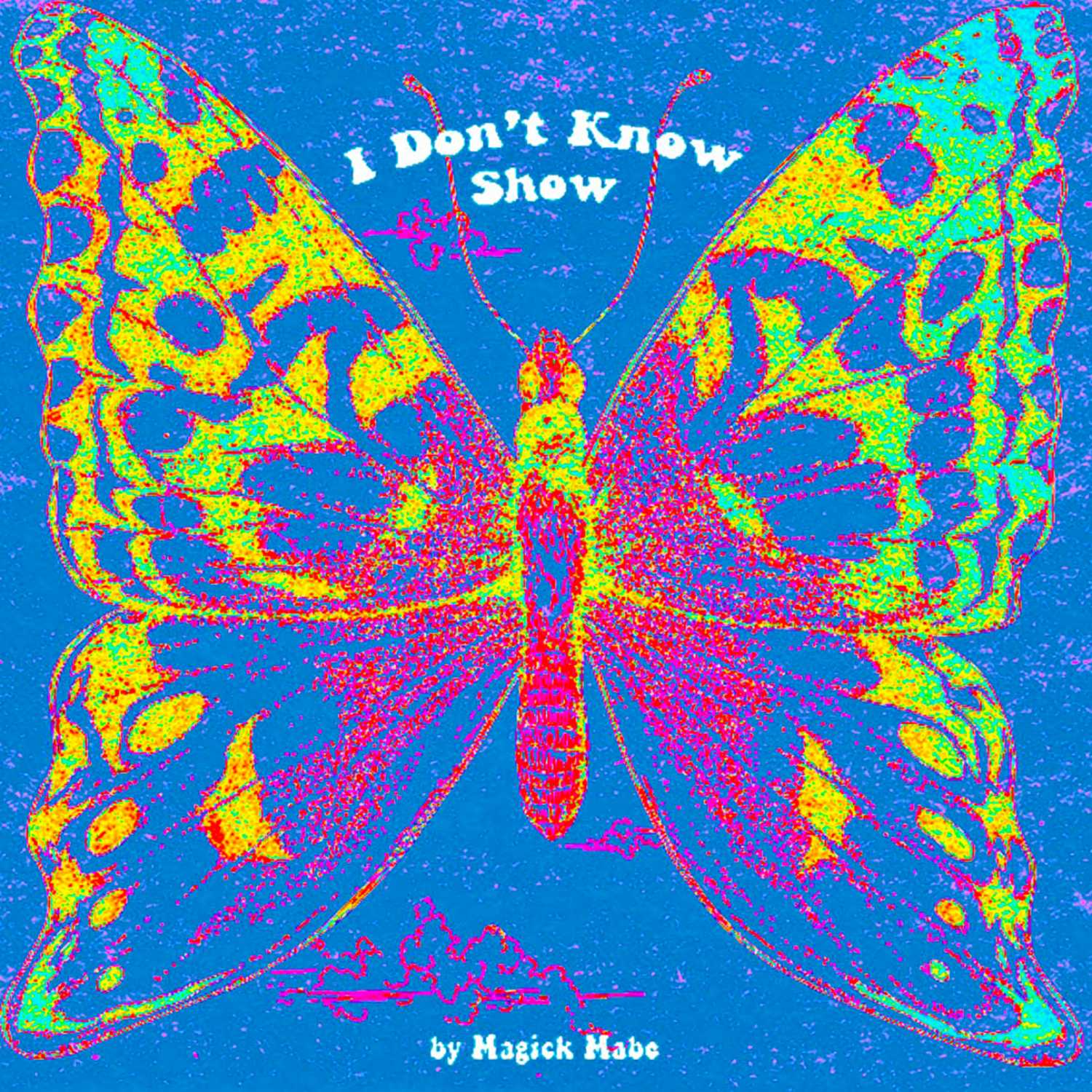 I Don't Know Show 