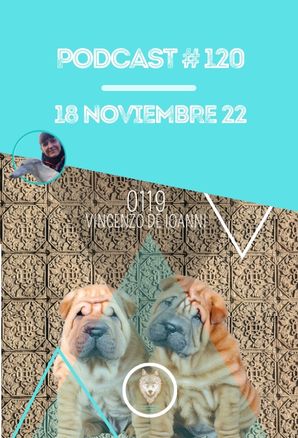 C&oacute;mo entender a tu vete integrativa cuando te habla en chino