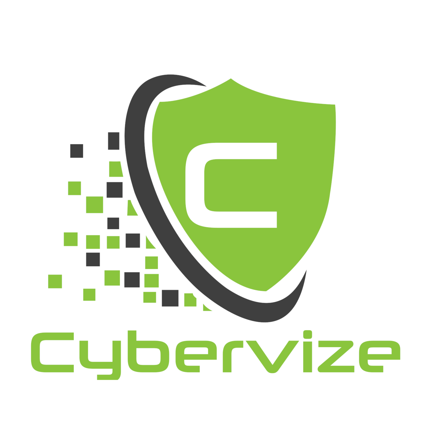 Cybervize Cybersecurity 