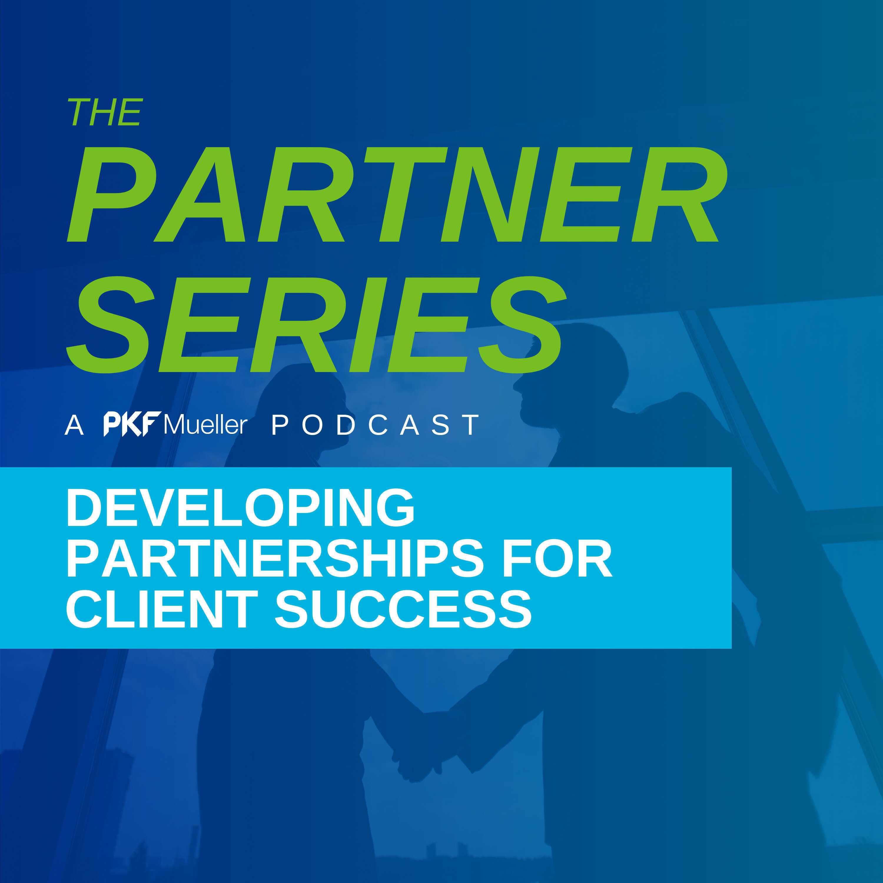 The Partner Series: Developing Strategic Partnerships for Client Success 