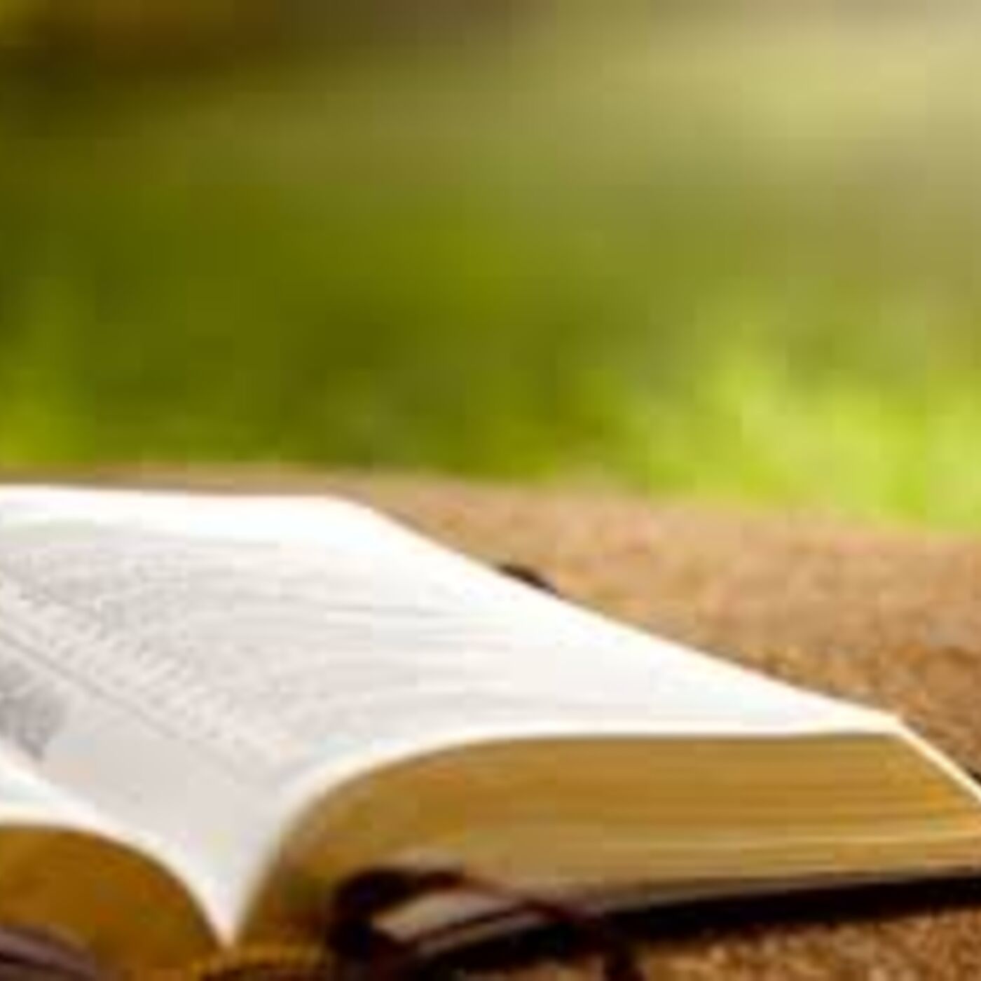 Daily Bible Reading in Chronological Order-NT