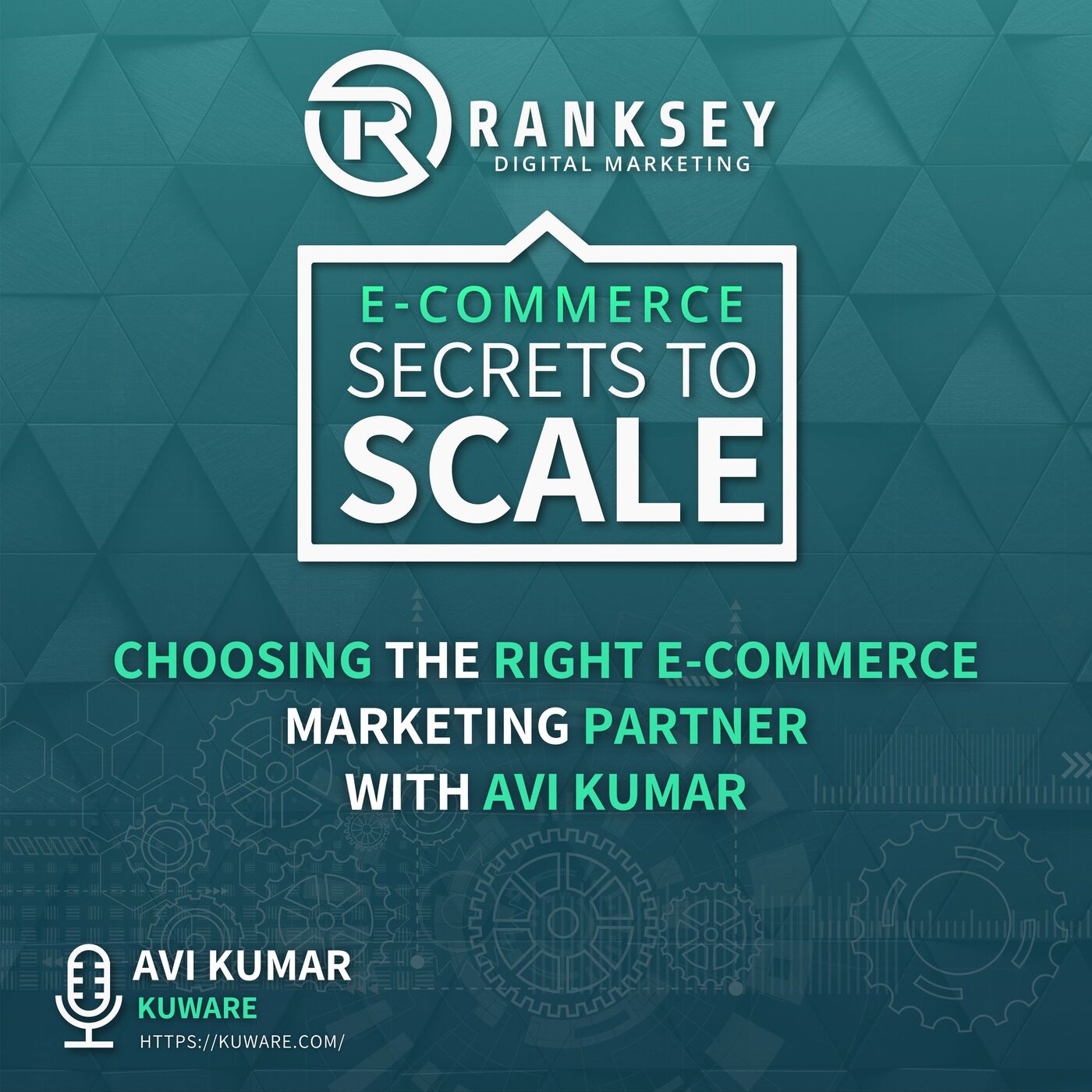 102 - Choosing The Right E-Commerce Marketing Partner With Avi Kumar