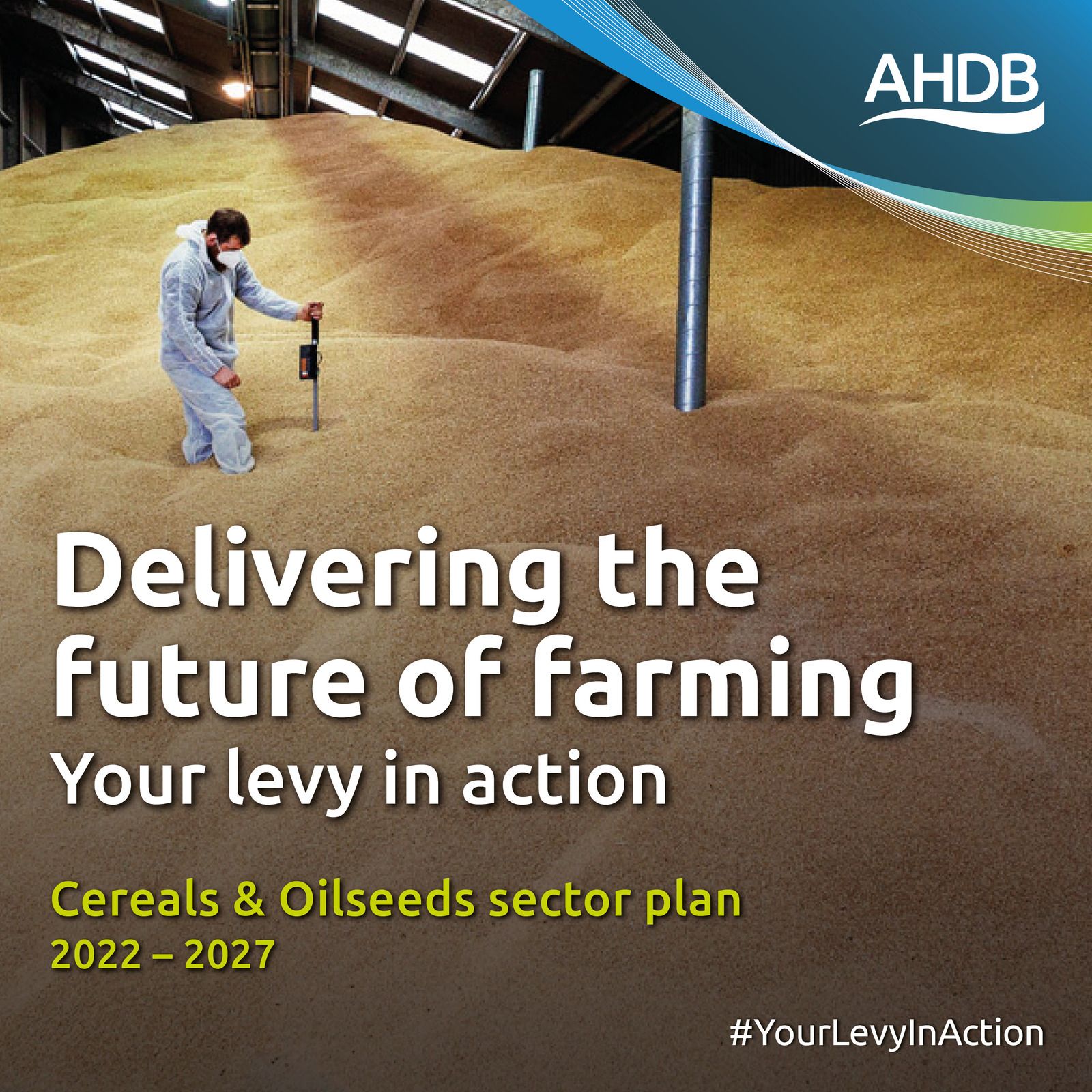 AHDB’s Cereal & Oilseeds Sector Council publish plans