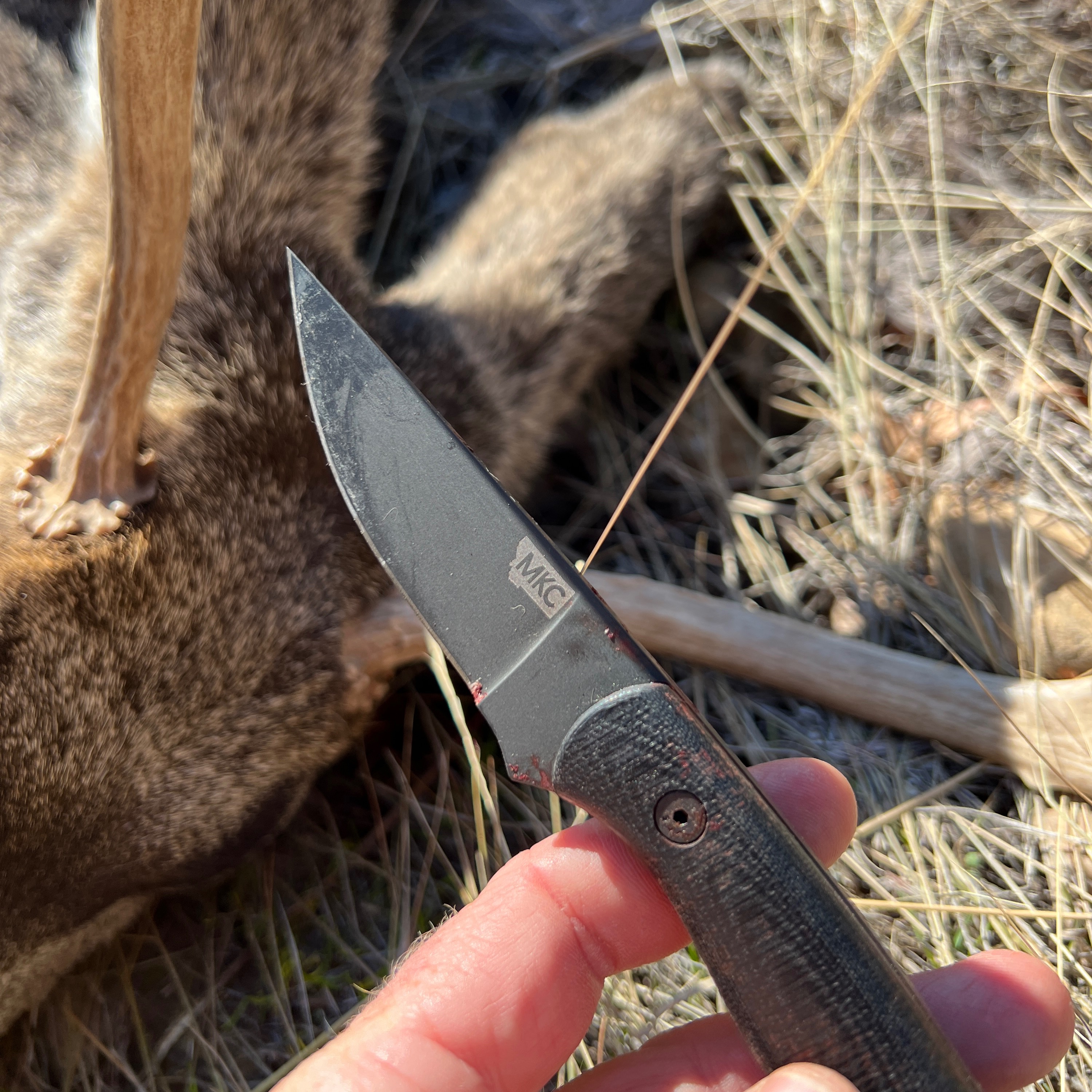 154.  Tagged Out | The Story of My First Archery Mule Deer Buck