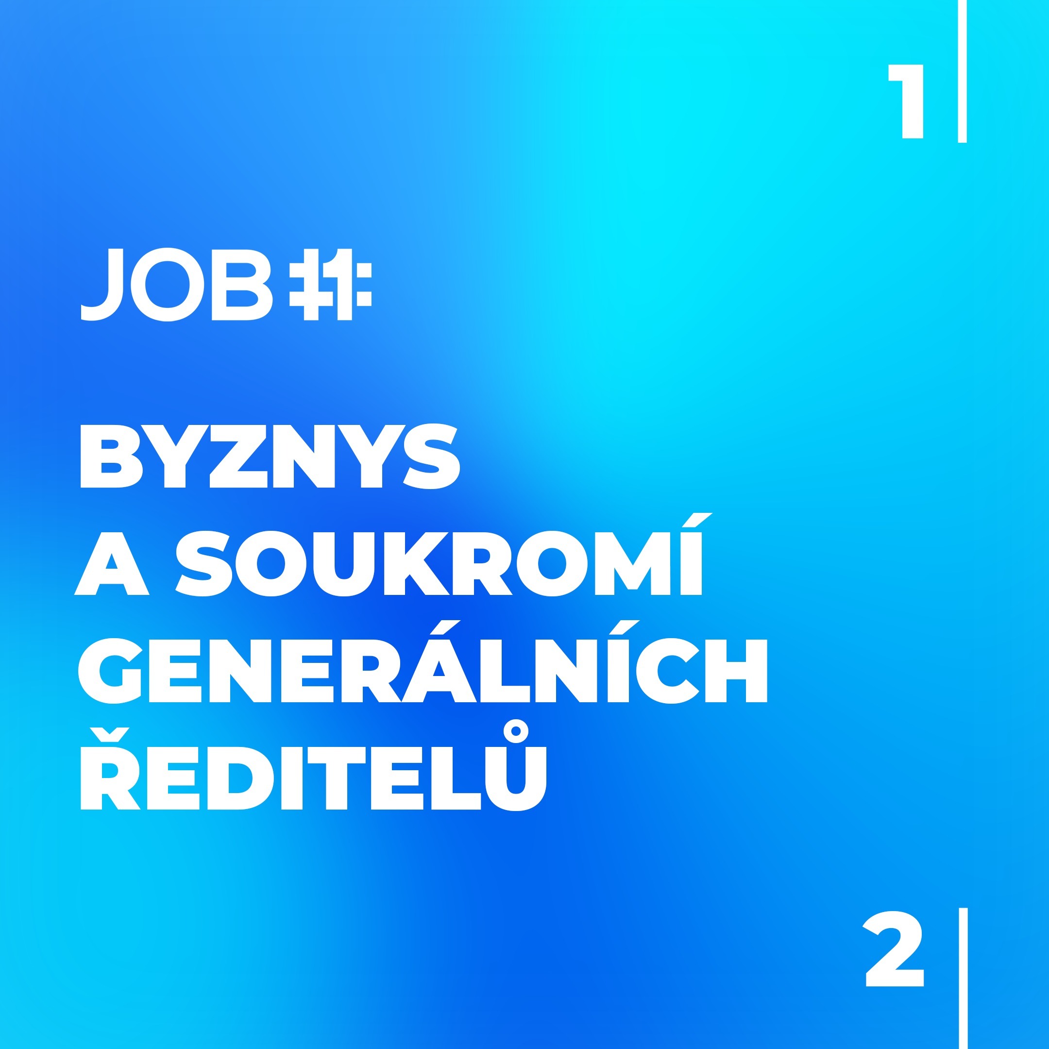 Byznys a soukromí CEO`s 