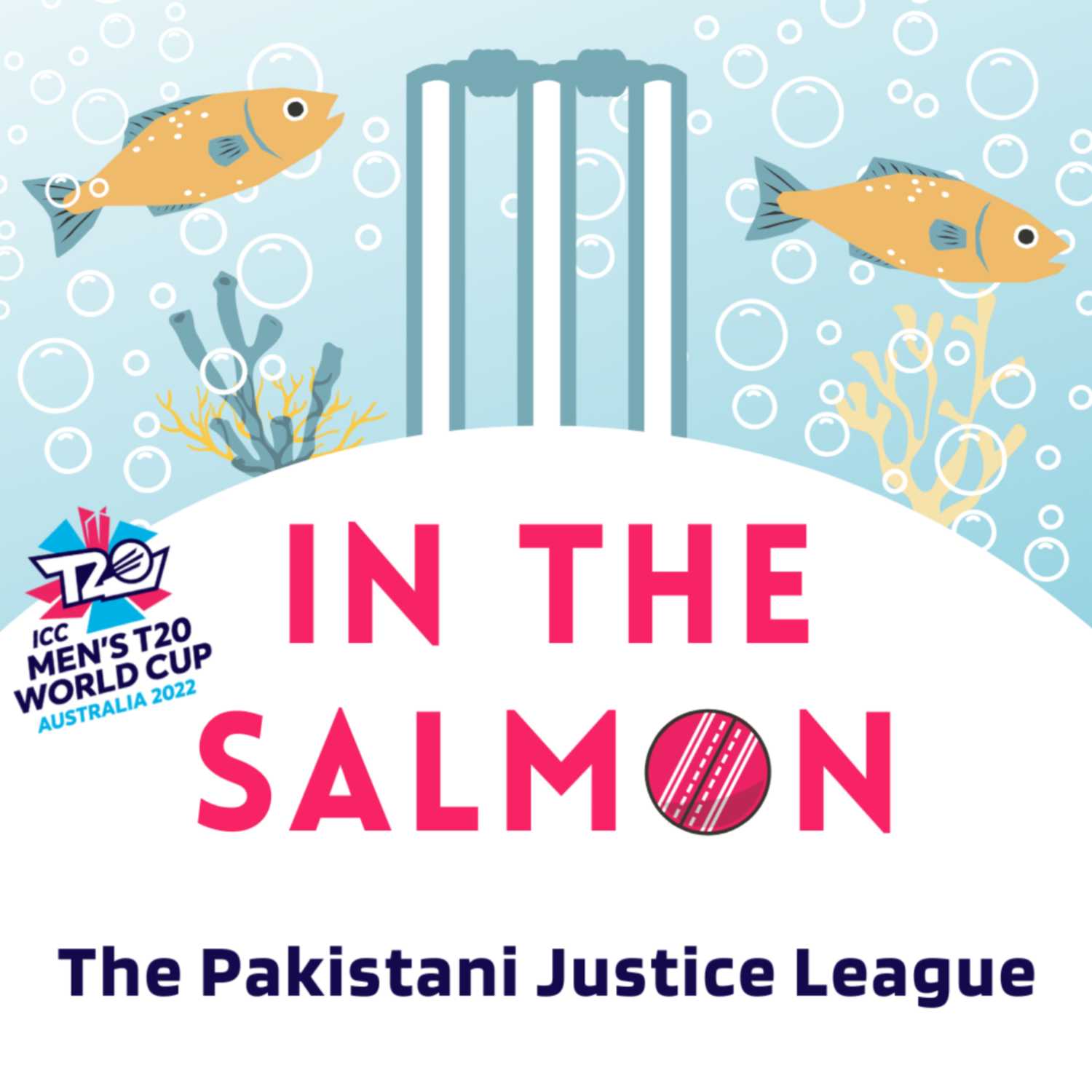 Season 2 Episode 6 - The Pakistani Justice League