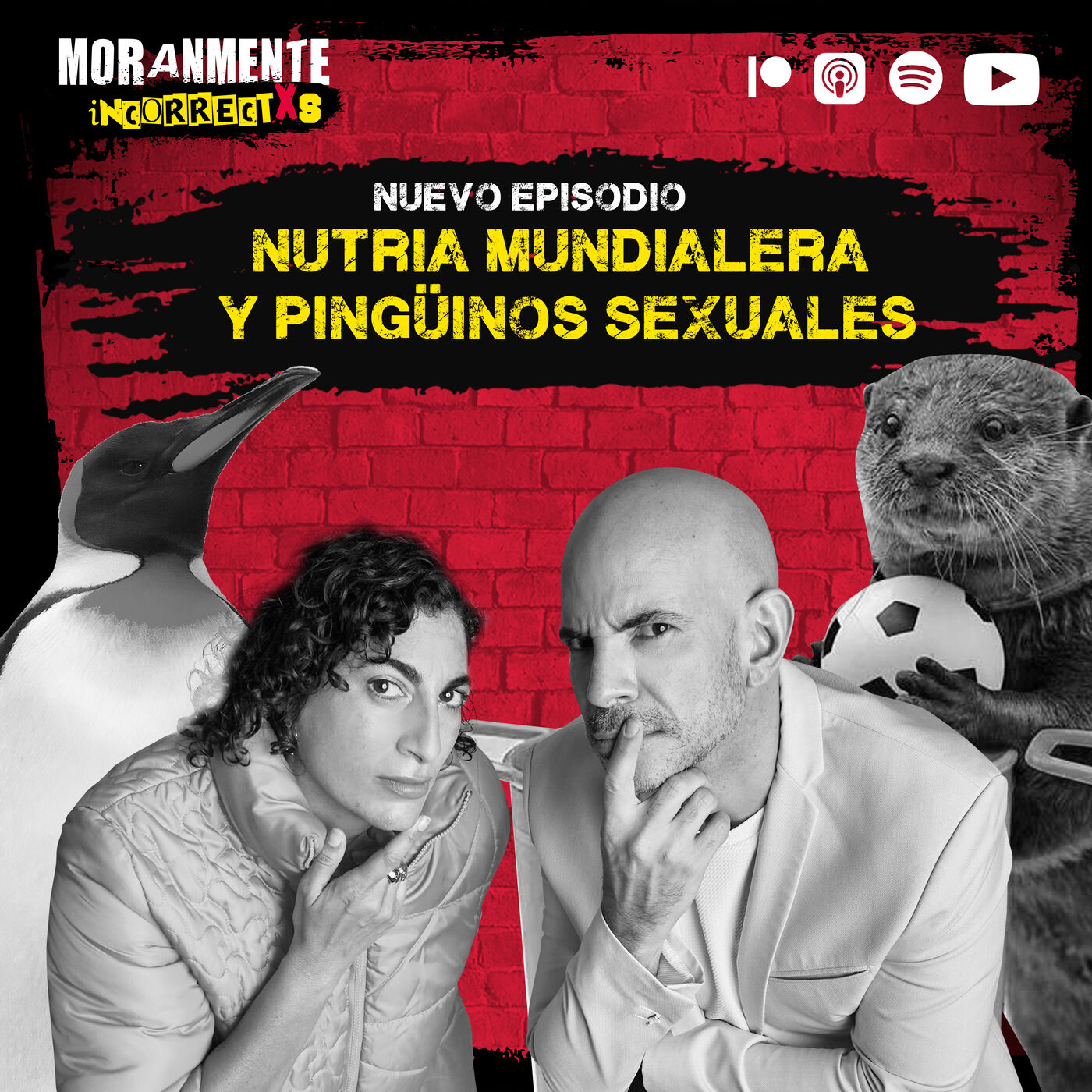 Nutria mundialera y pingüinos sexuales