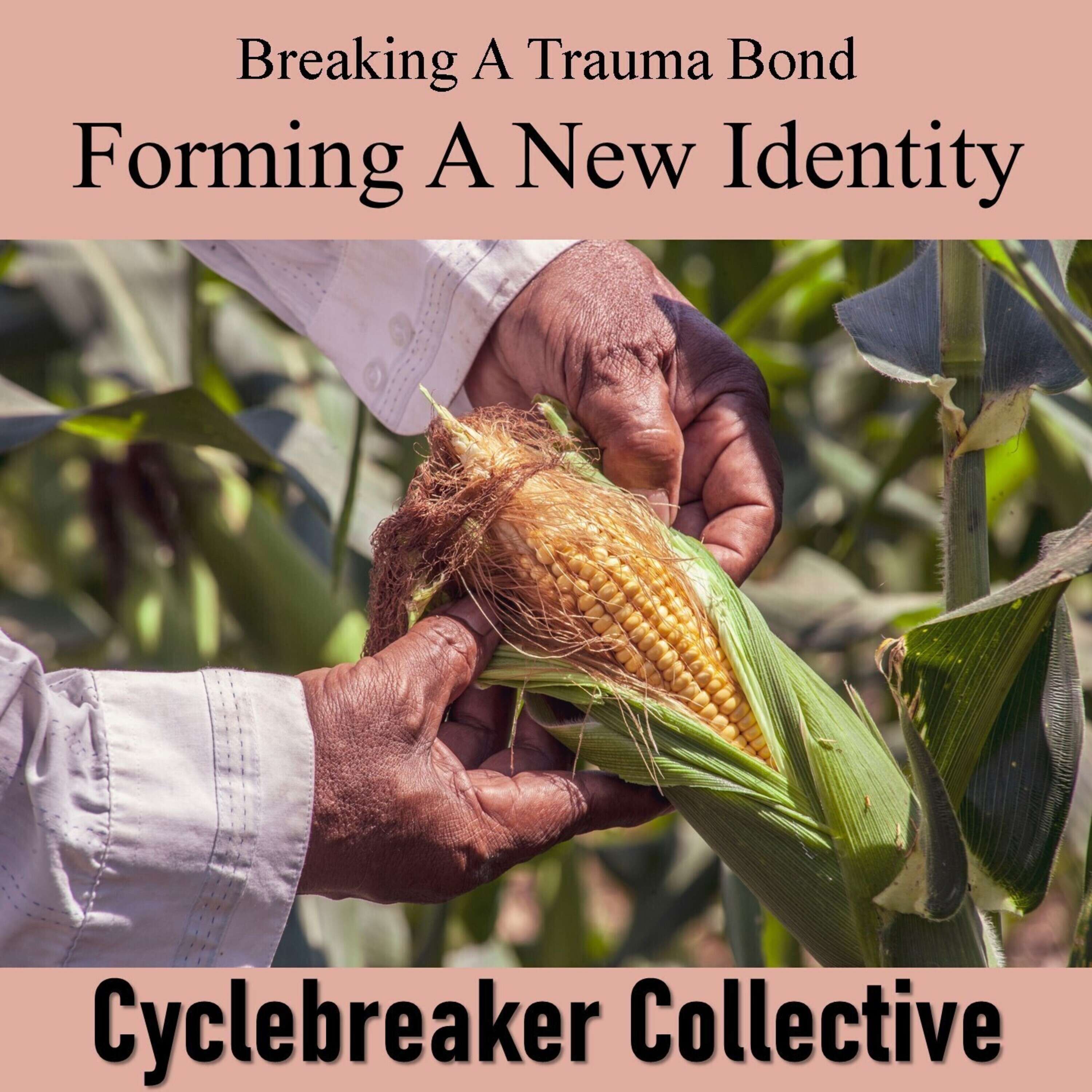 Breaking A Trauma Bond Forming A New Identity