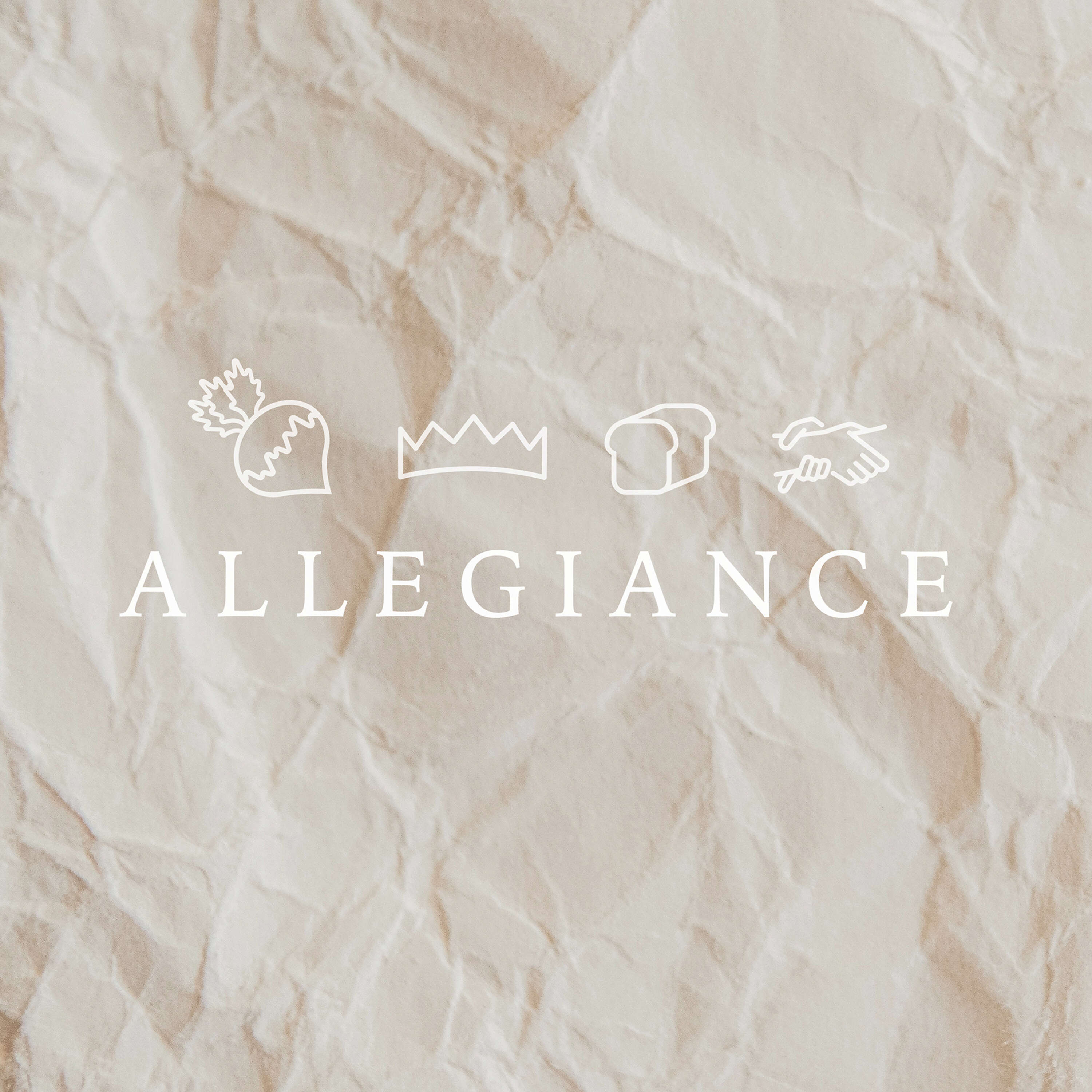 ⁣Allegiance: Allegiance of Resources  // Shirley Kuang