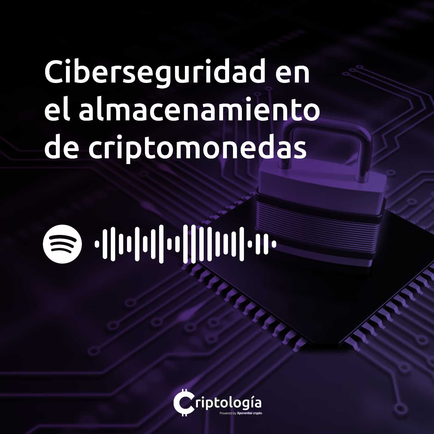 ⁣Ciberseguridad en el almacenamiento de criptomonedas