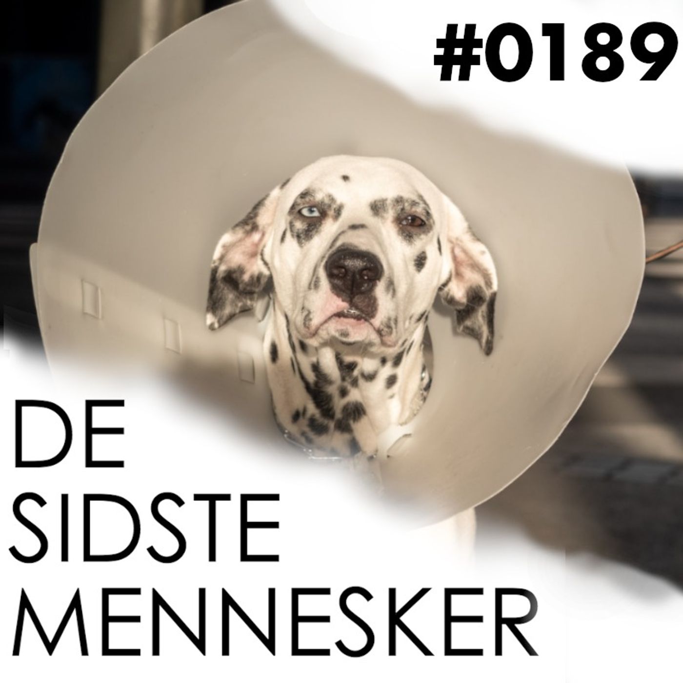 ⁣#0189: Skam dig!