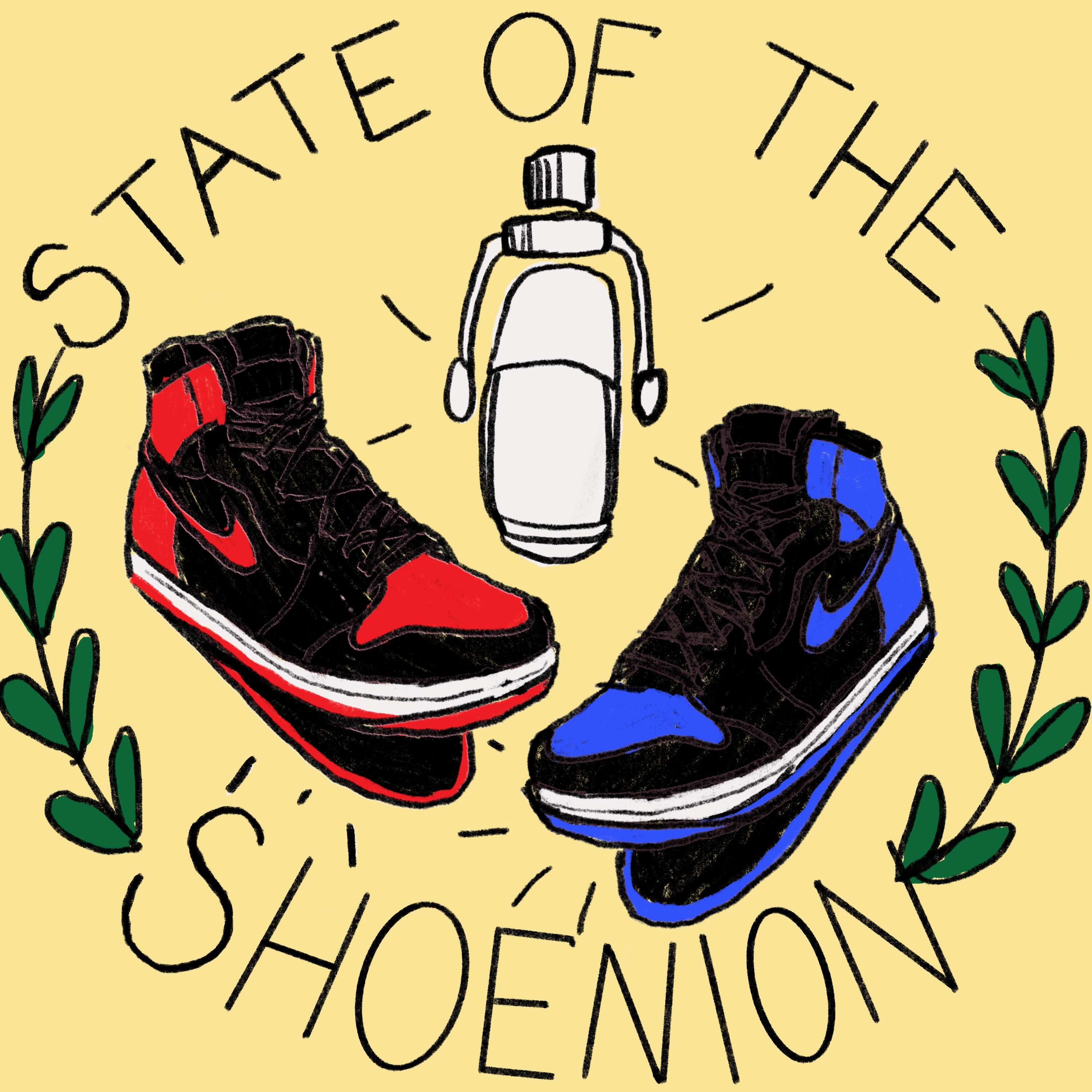 State of the Shoenion 