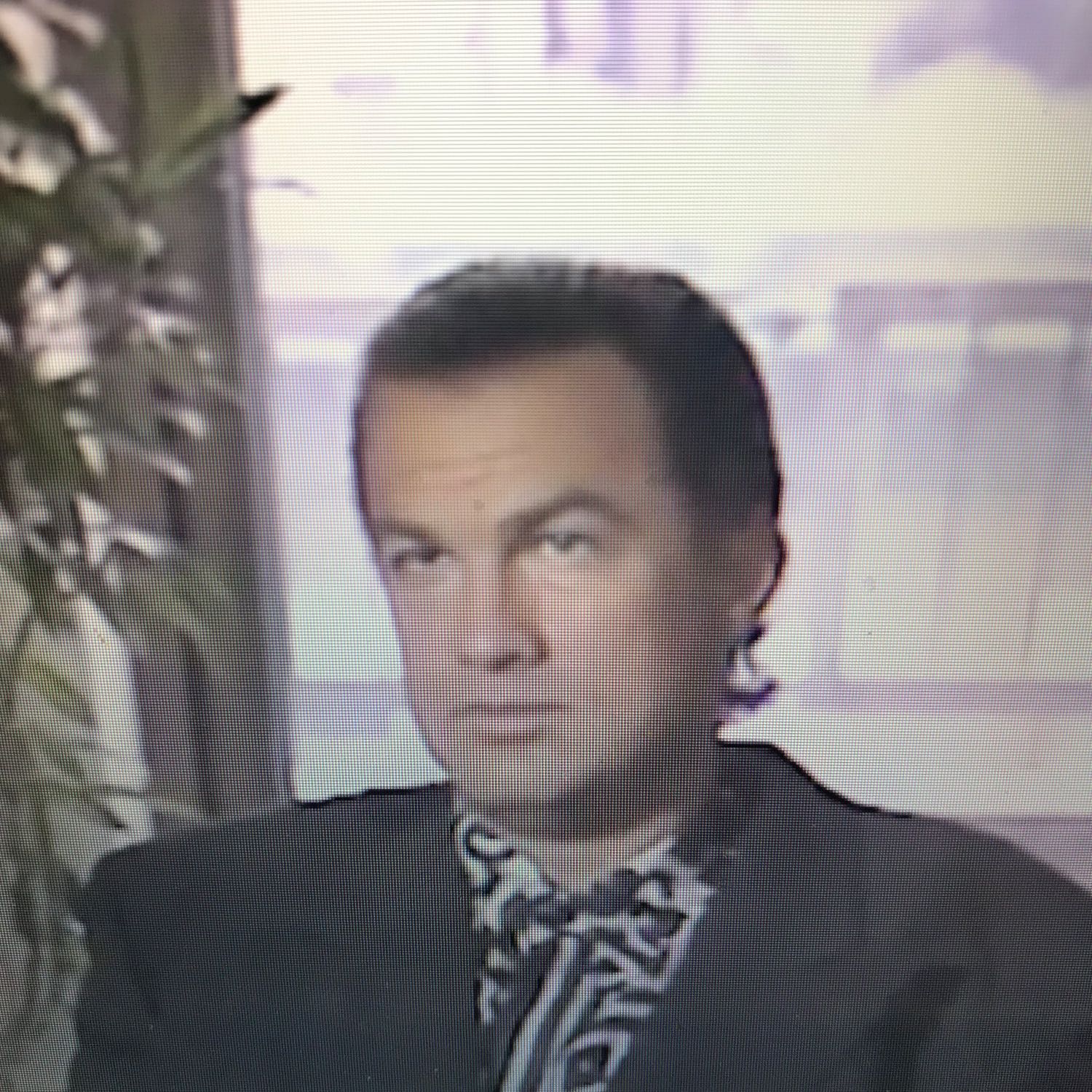Sweeping The Country: Steven Seagal, Oh this is a good one!