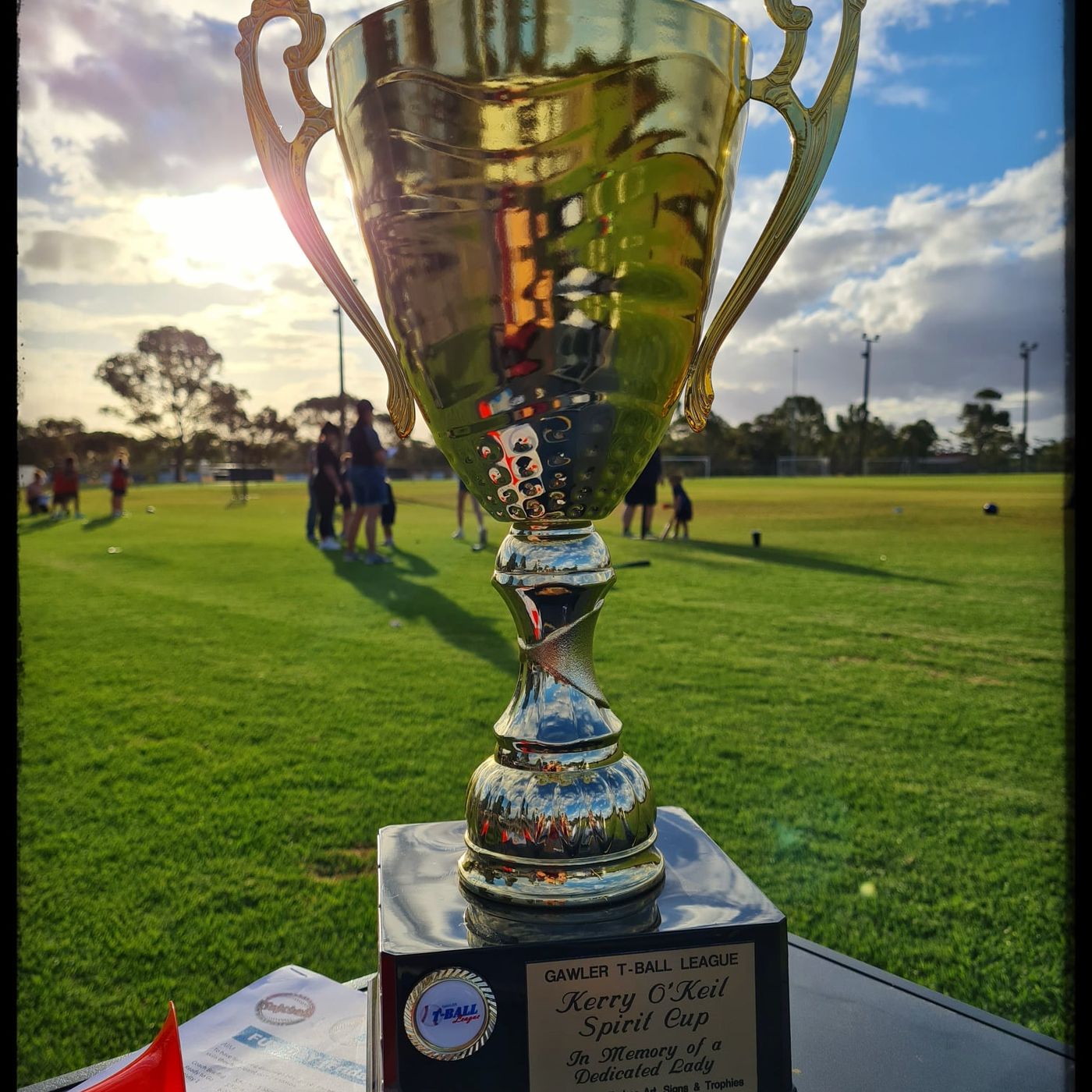 Gawler & Districts Softball Association President Veg Ingram unpacks the latest action