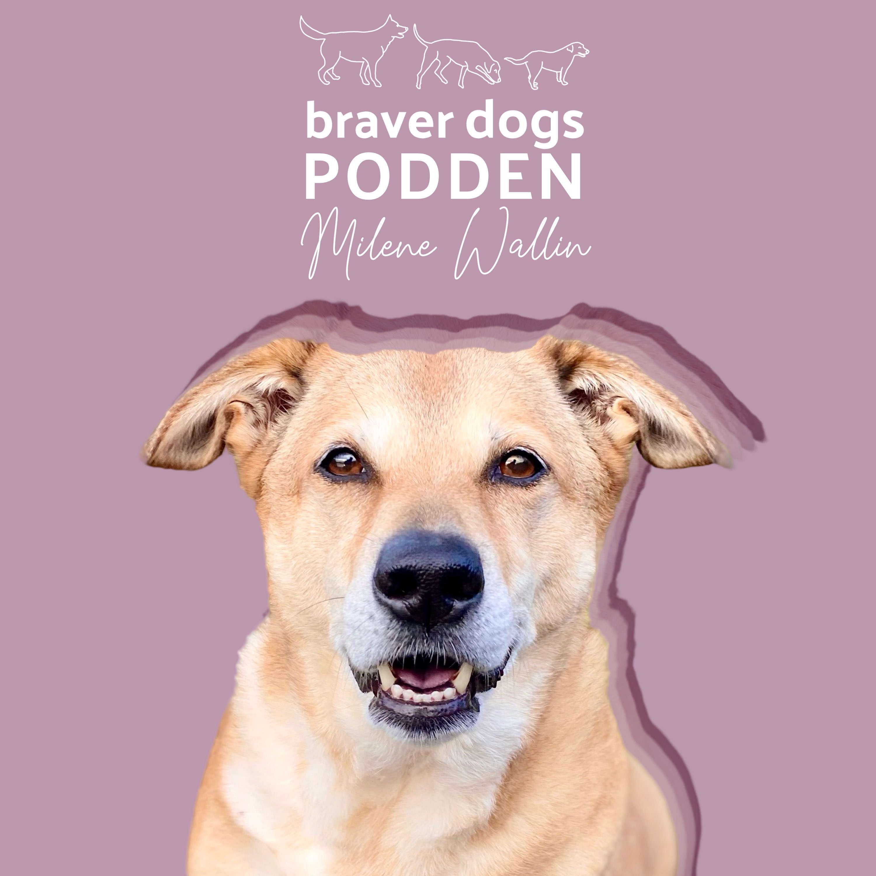 Braver Dogs Podden 