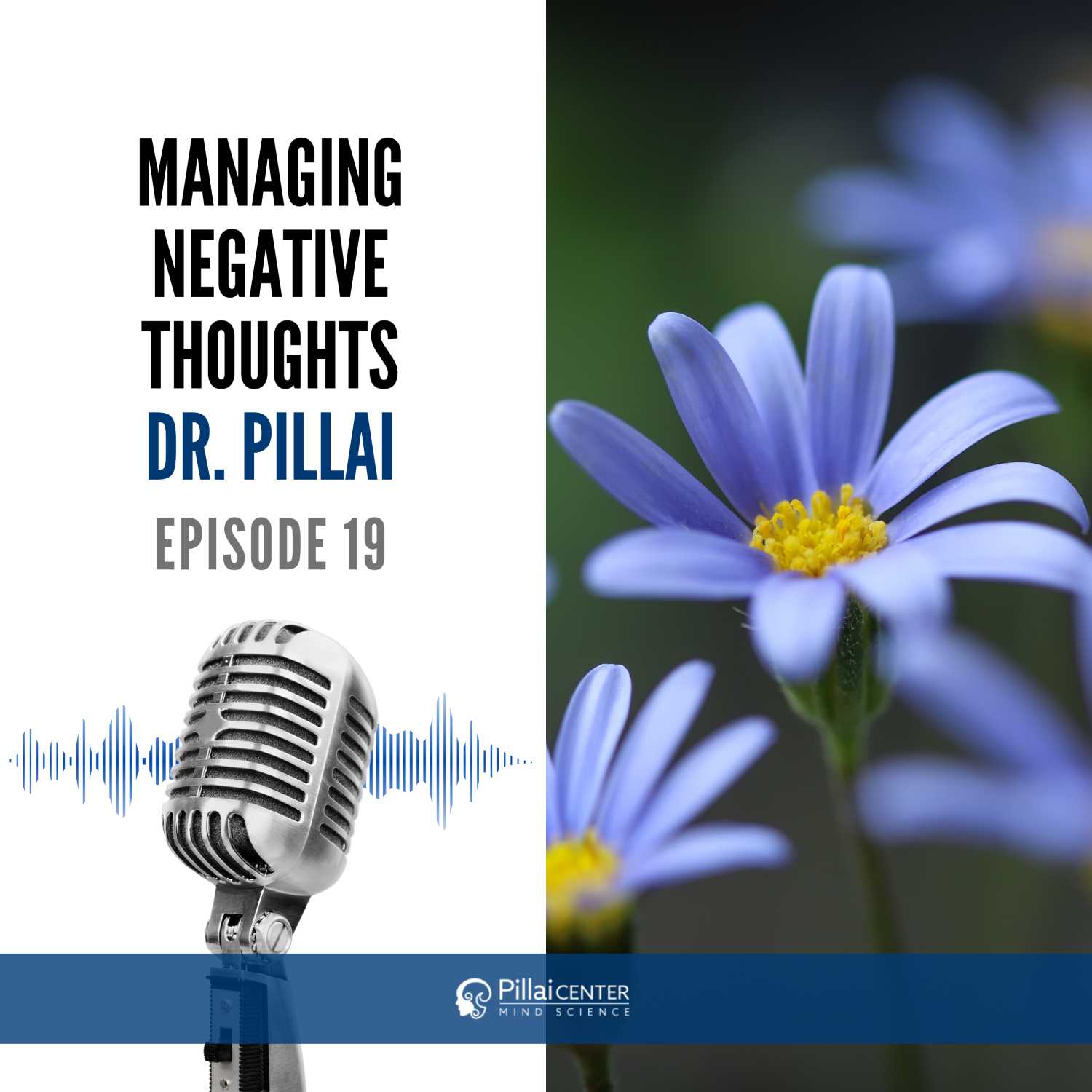 Managing Negative Thoughts - Dr. Pillai