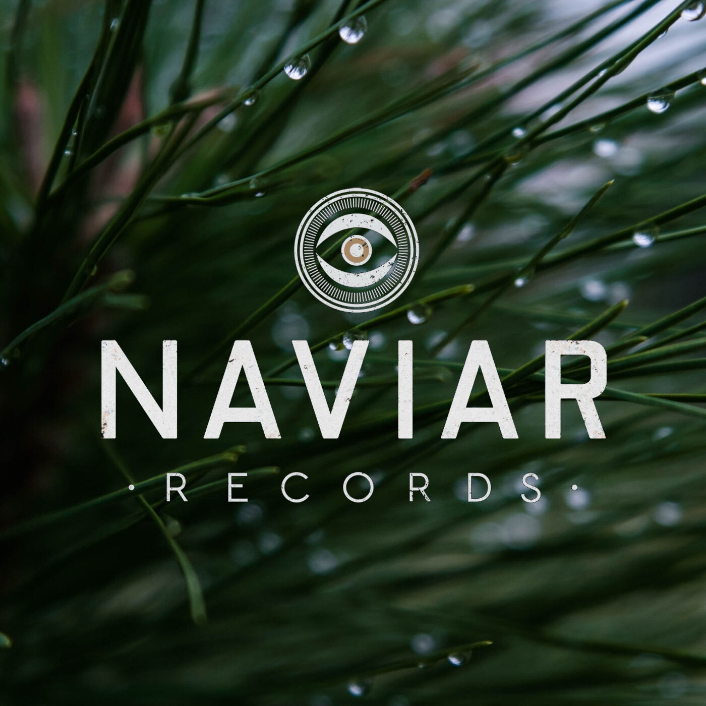 Naviar Broadcast #240 – adjusting to rain – Wednesday 26th October 2022