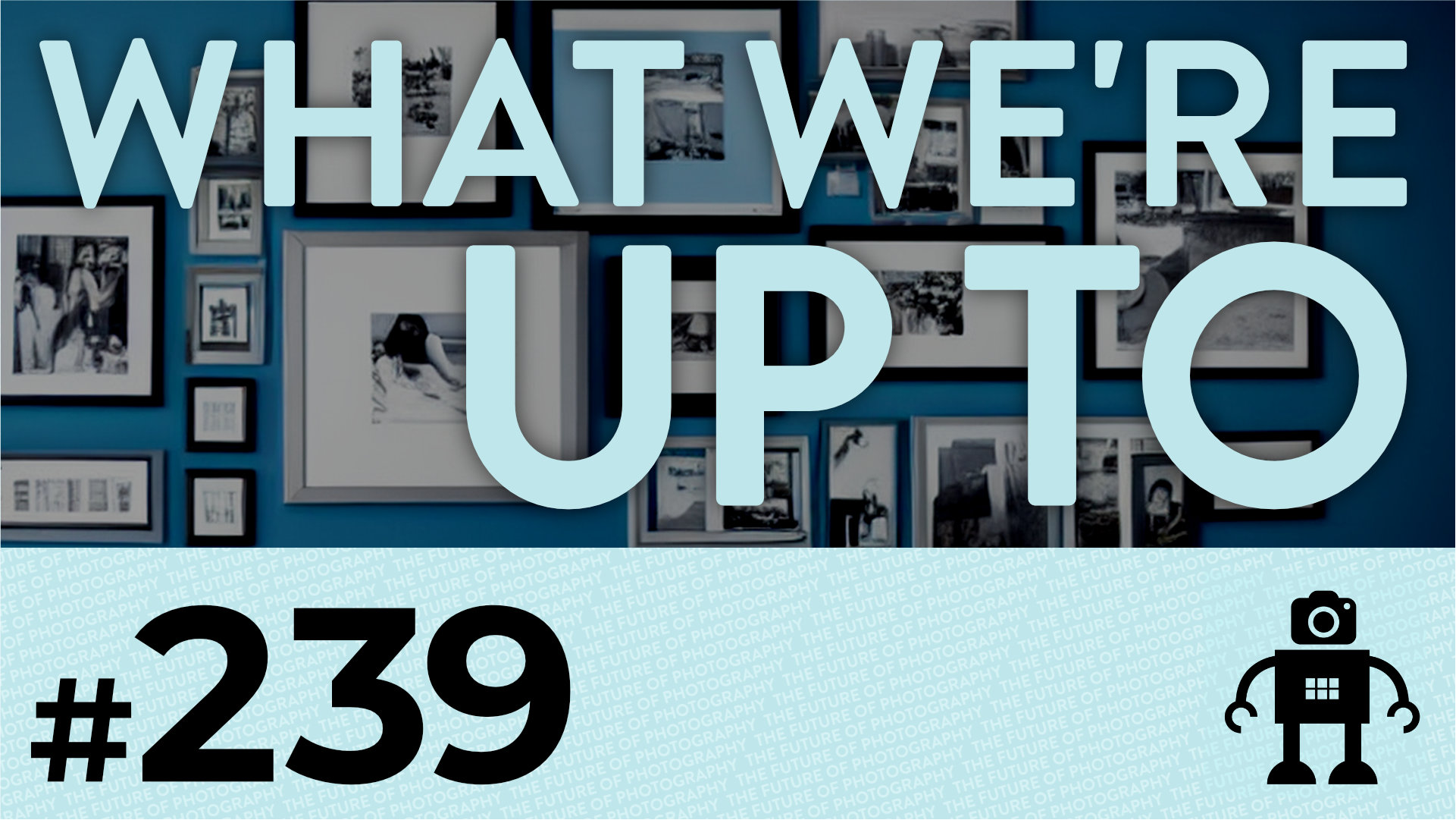 239 What are we up to and into?