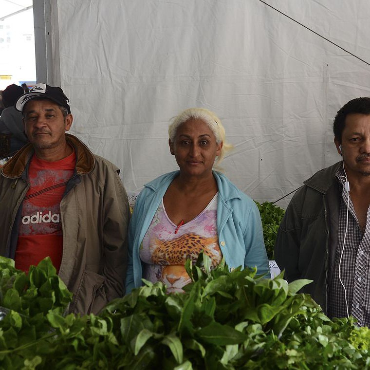 Com encolhimento de programas de aquisição de alimentos, agricultura familiar despenca