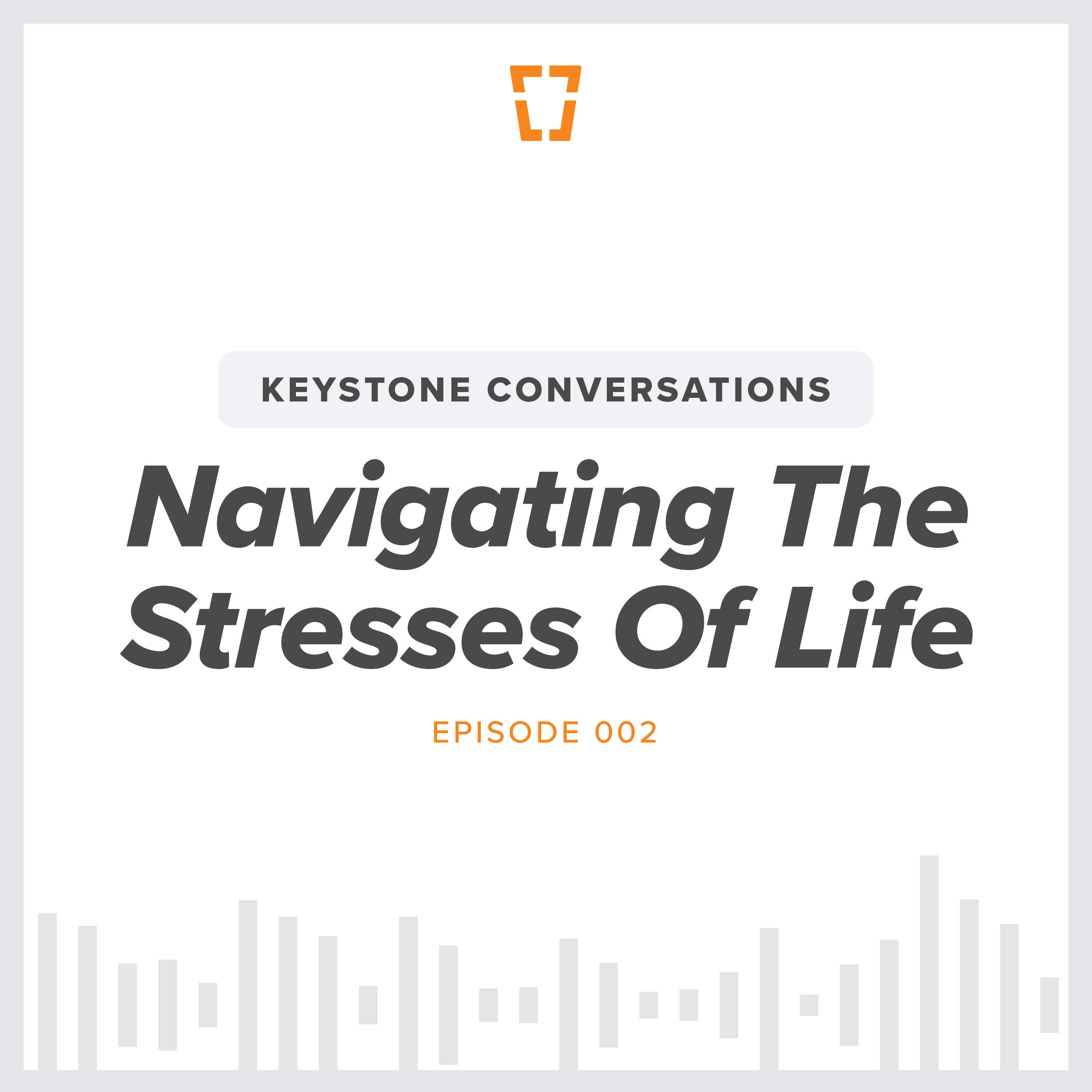 2. Navigating Life Stresses