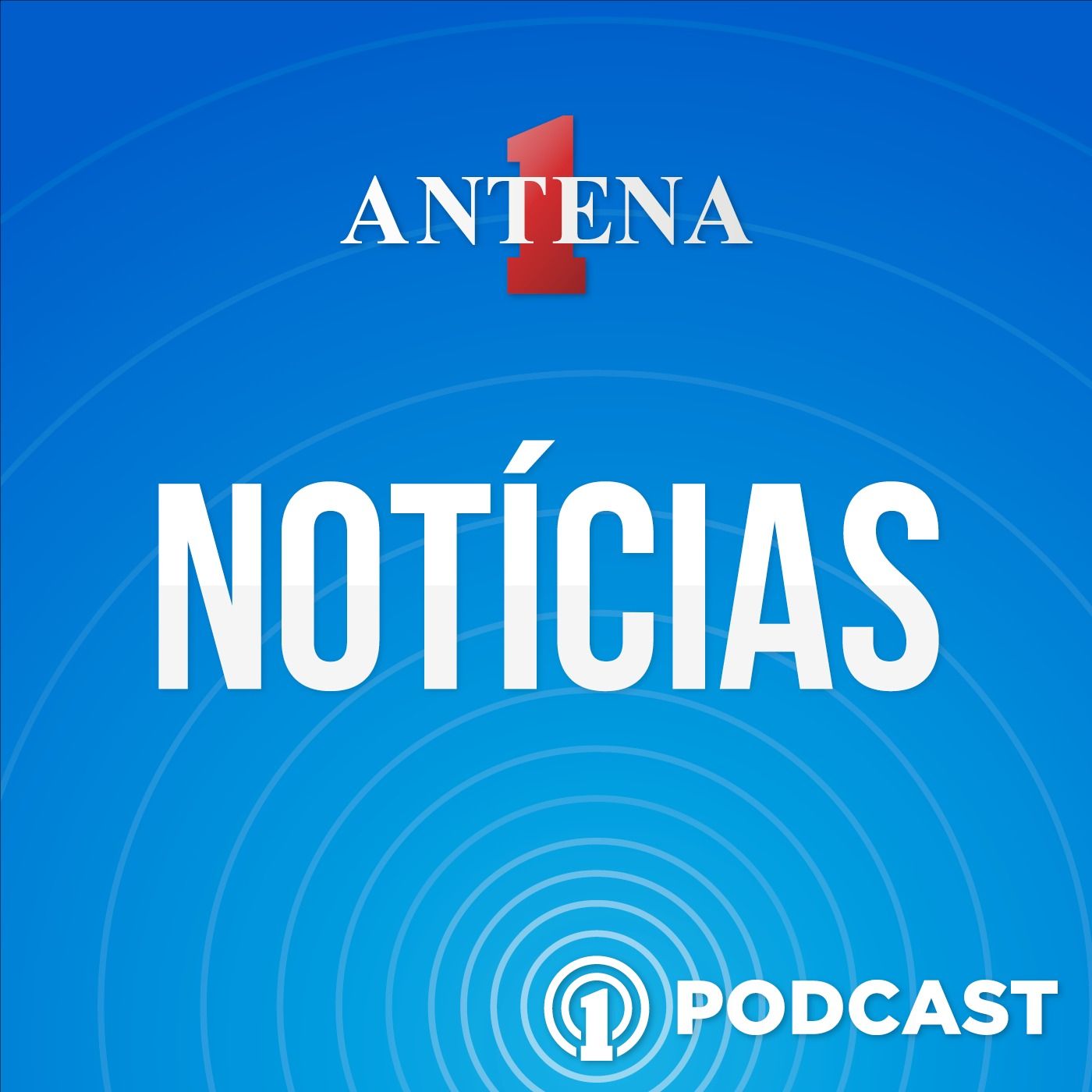 Antena 1 Notícias - 08/11/2022