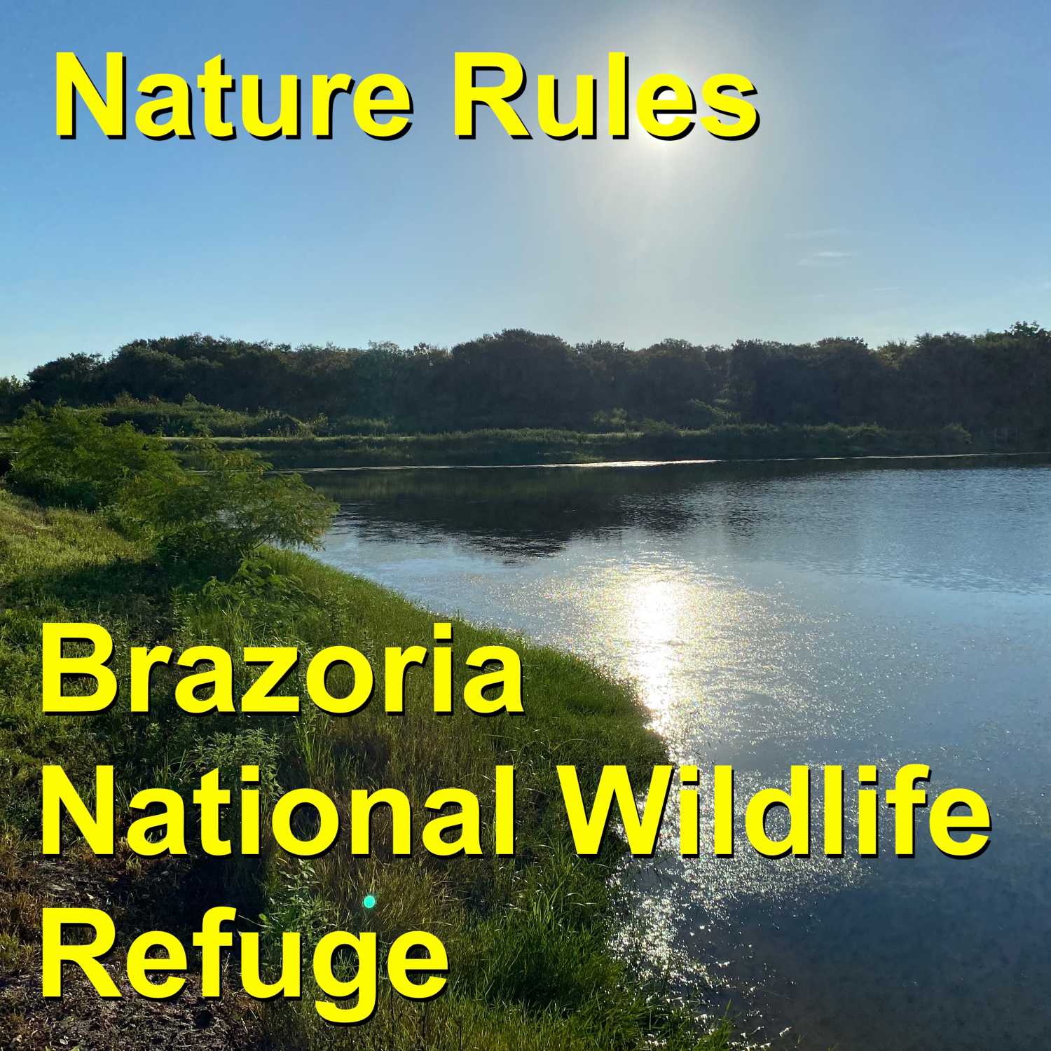 Brazoria National Wildlife Refuge - a haven for birders and outdoor enthusiasts who seek adventure throughout the season