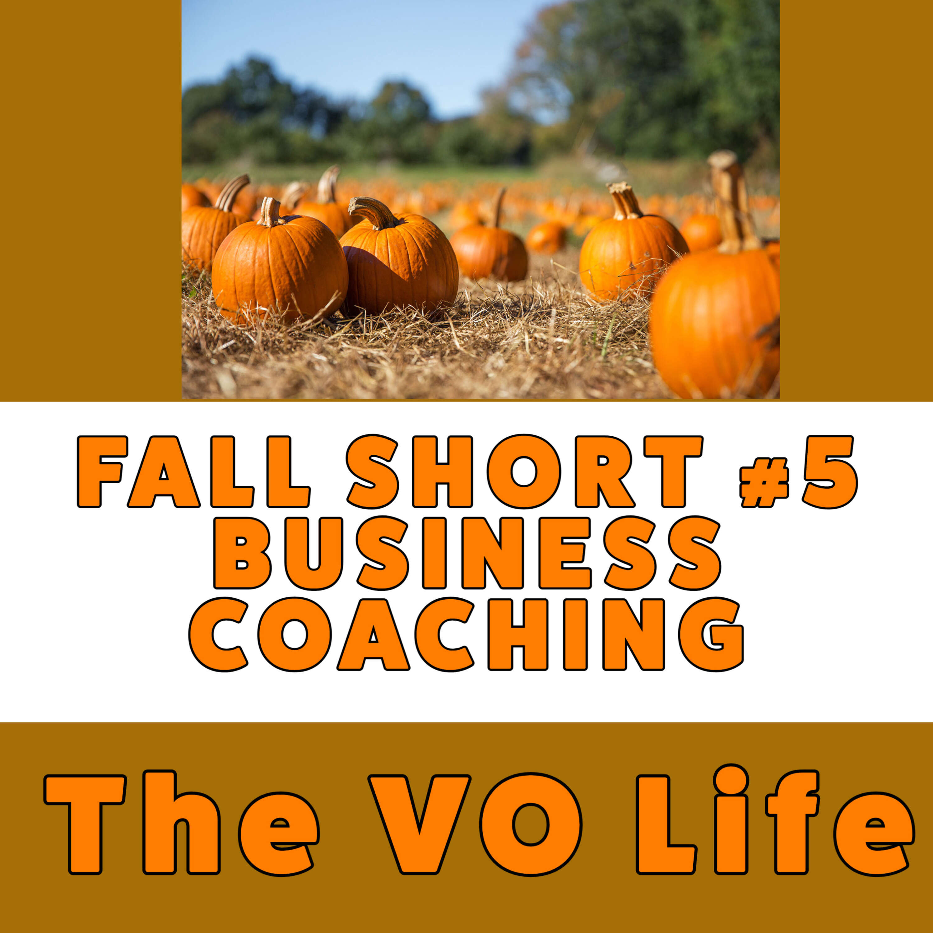 The VO Life Ep 79 - Shorts #5 Business Coaches