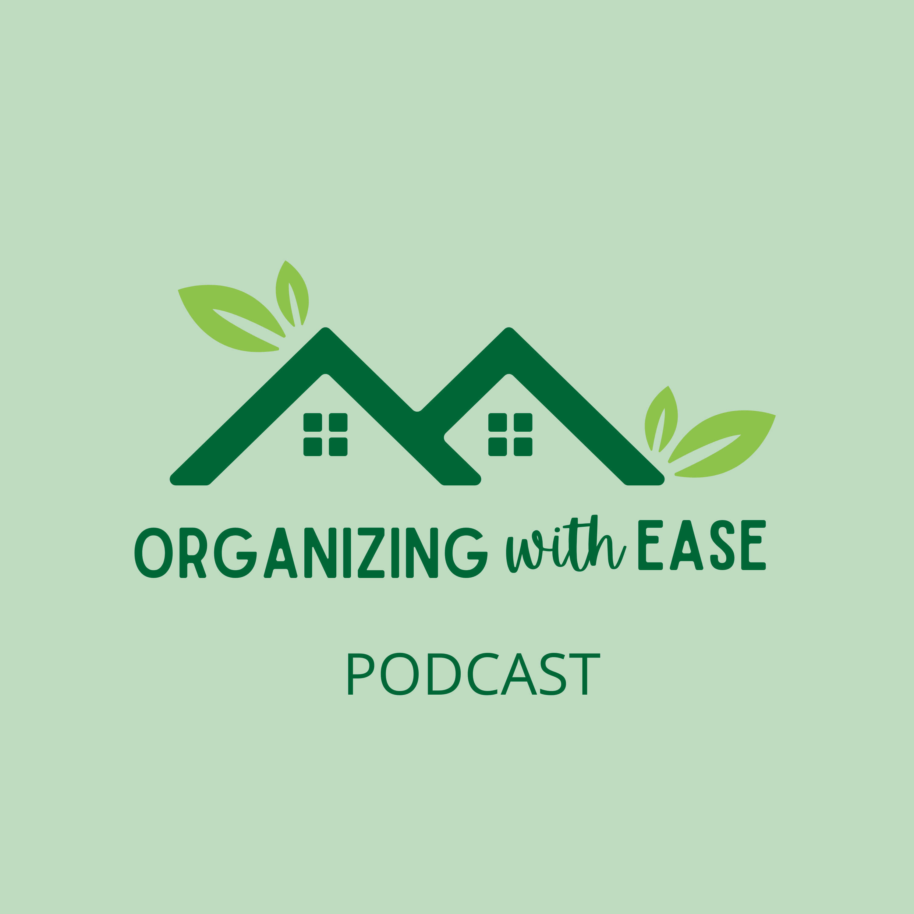 Episode 29 - Happy Thanksgiving! And Dealing with Black Friday