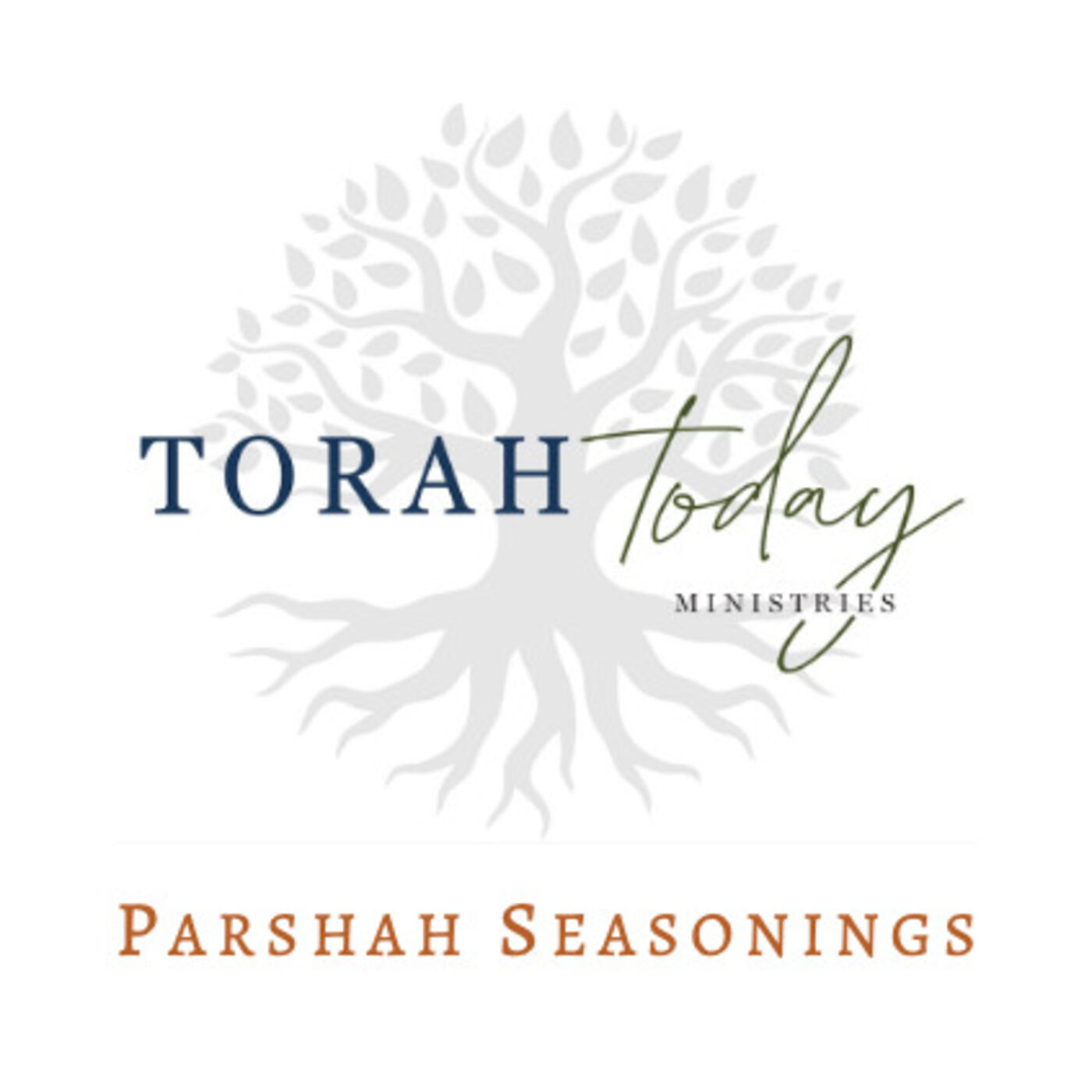 ⁣Parshah Seasonings - Chayei Sarah