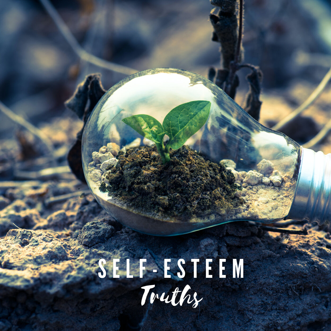 Self Esteem Truths 