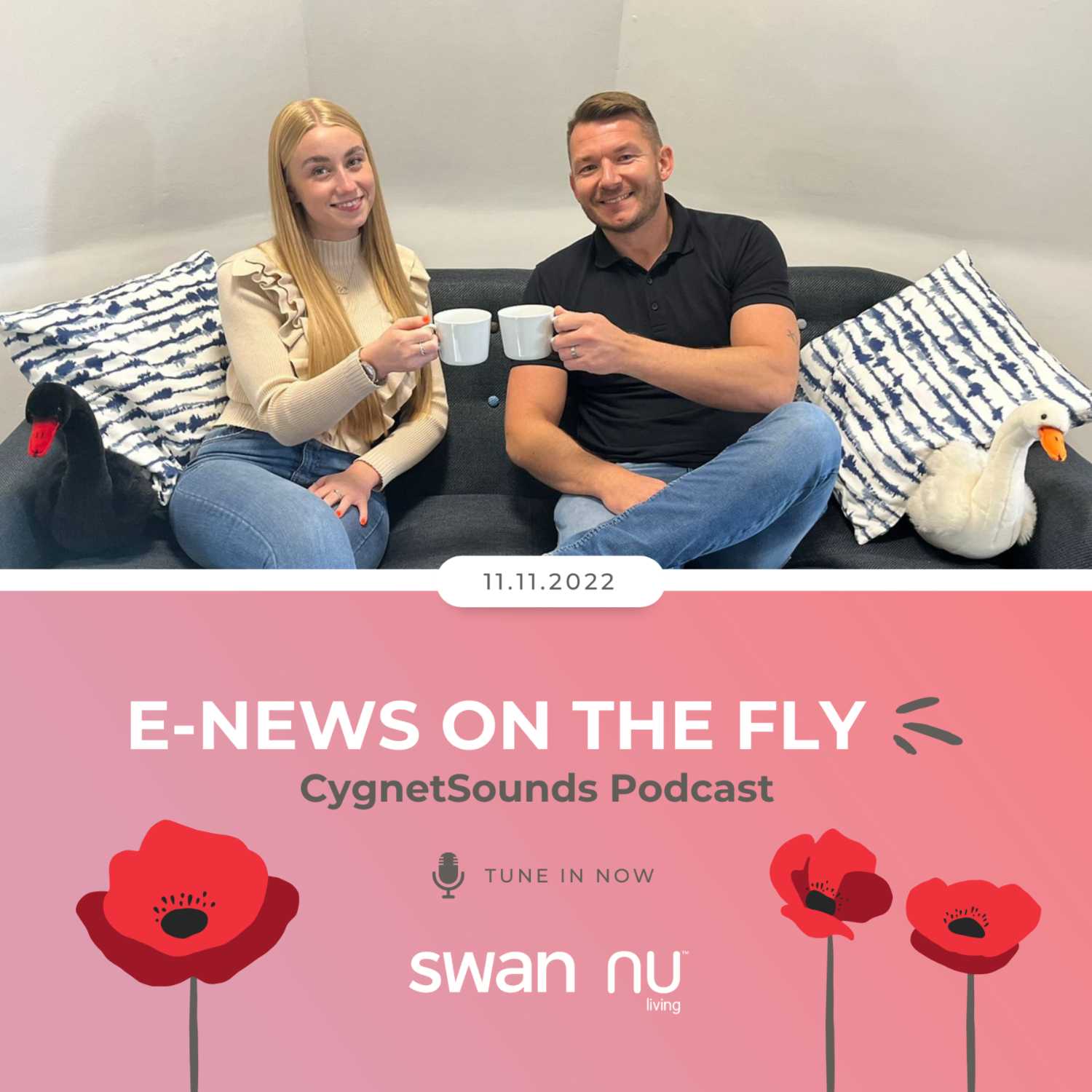 E-News on the Fly 11.11.22