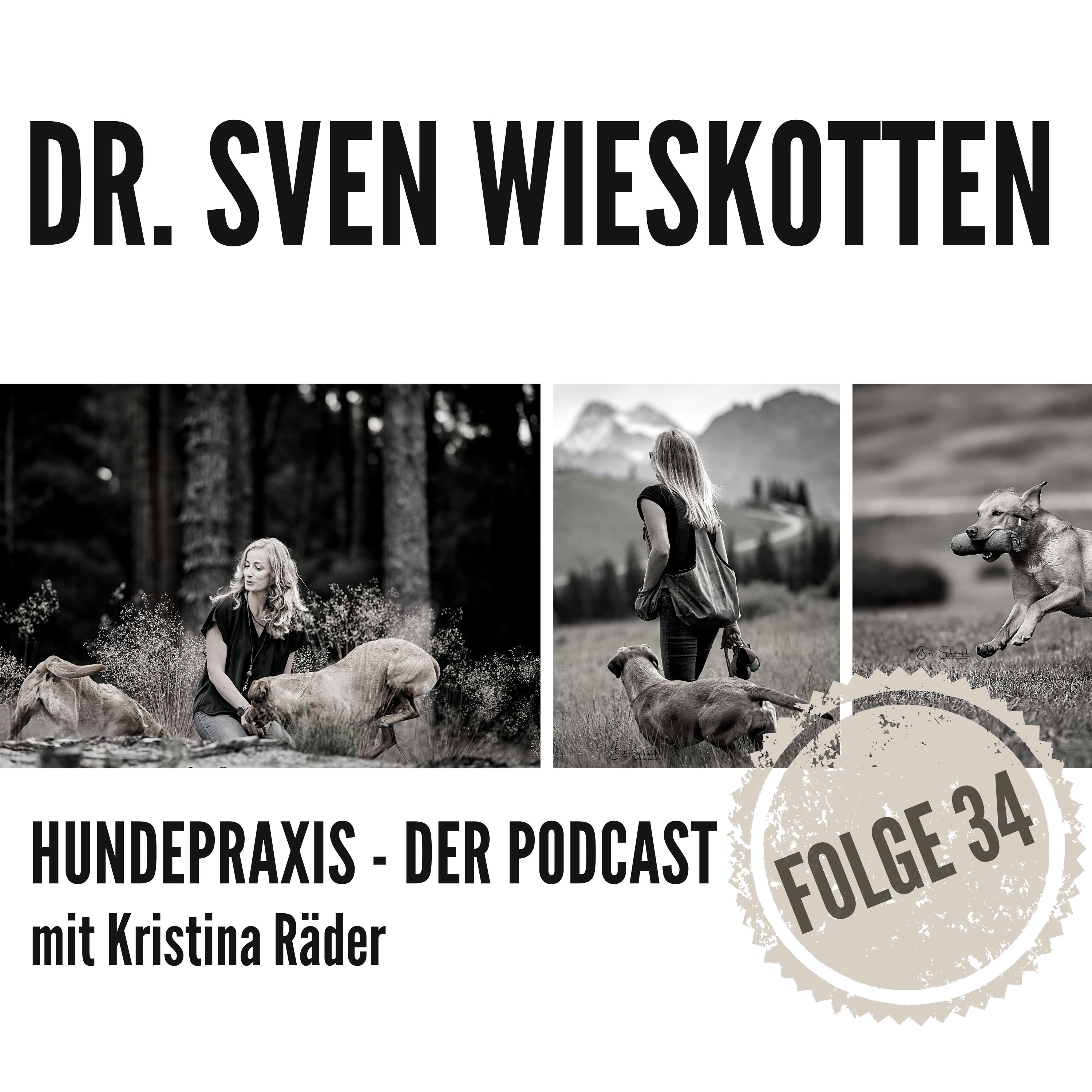 Training: Seehund vs. Hund - Dr. Sven Wieskotten