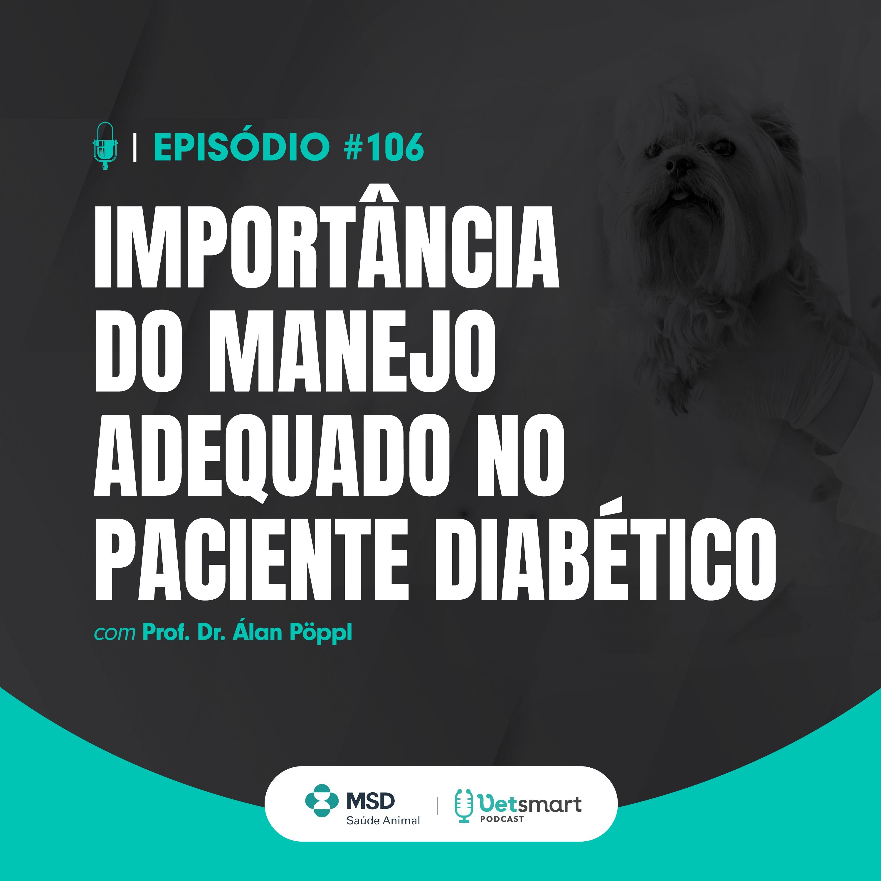 Importância do manejo adequado no paciente diabético