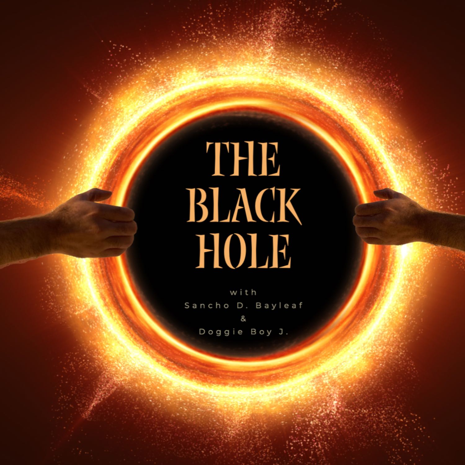 The Black Hole 