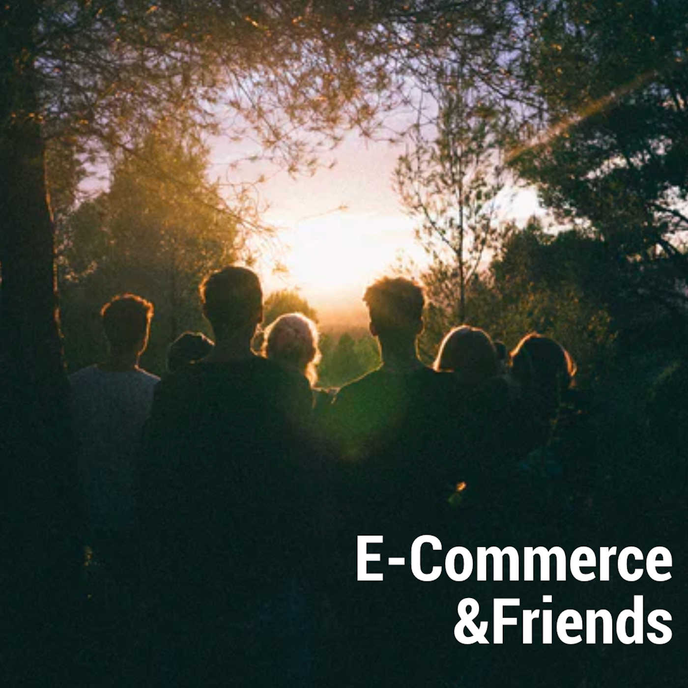 Daily Five - einfacher Einstieg in den E-Commerce mit Billbee und Shopify