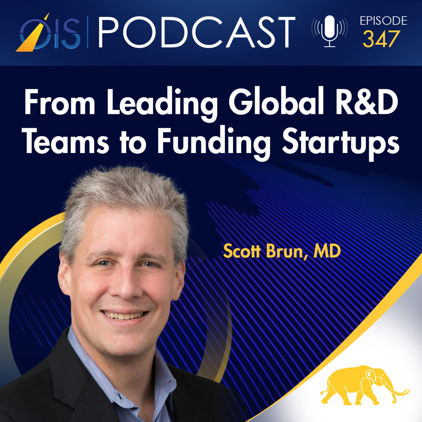 From Leading Global R&D Teams to Funding Startups