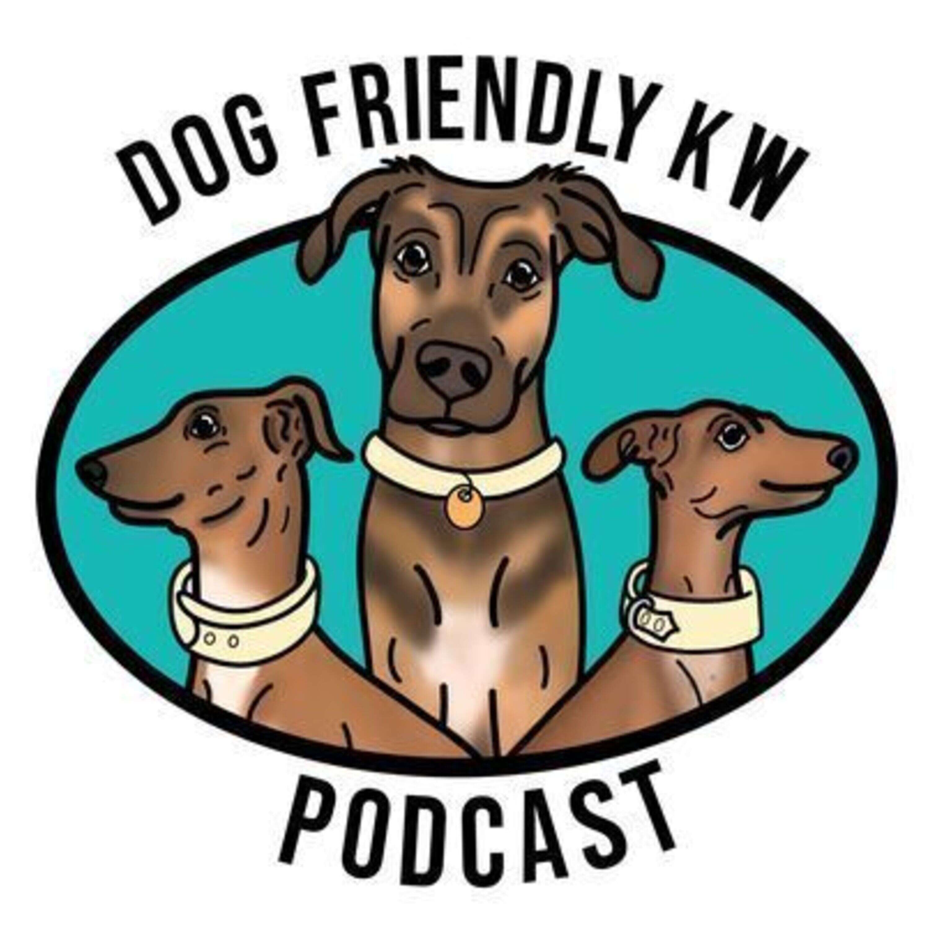 Full Episode: Prepping your dog for a NEW BUNDLE OF JOY w/ Dominika from @DogMeets_Baby