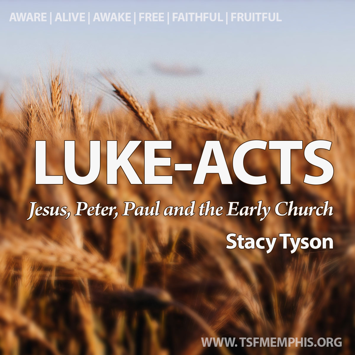 Luke-Acts 10 | 8:4-9:20