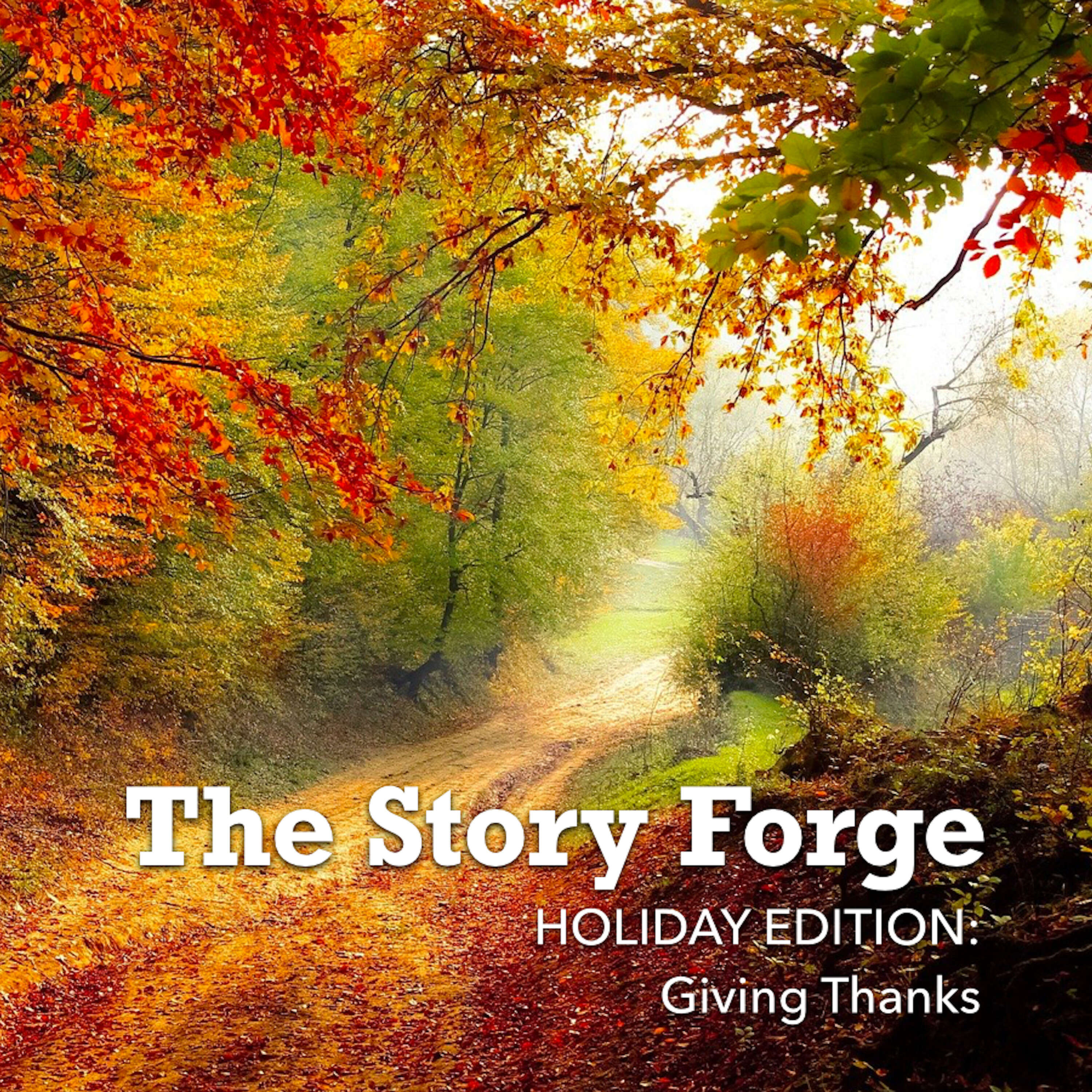 HOLIDAY EDITION: Giving Thanks