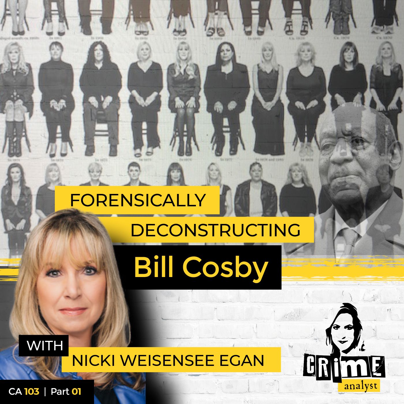 The Crime Analyst | Ep 103 | Forensically Deconstructing Bill Cosby with Nicki Weissensee Egan, Part 1