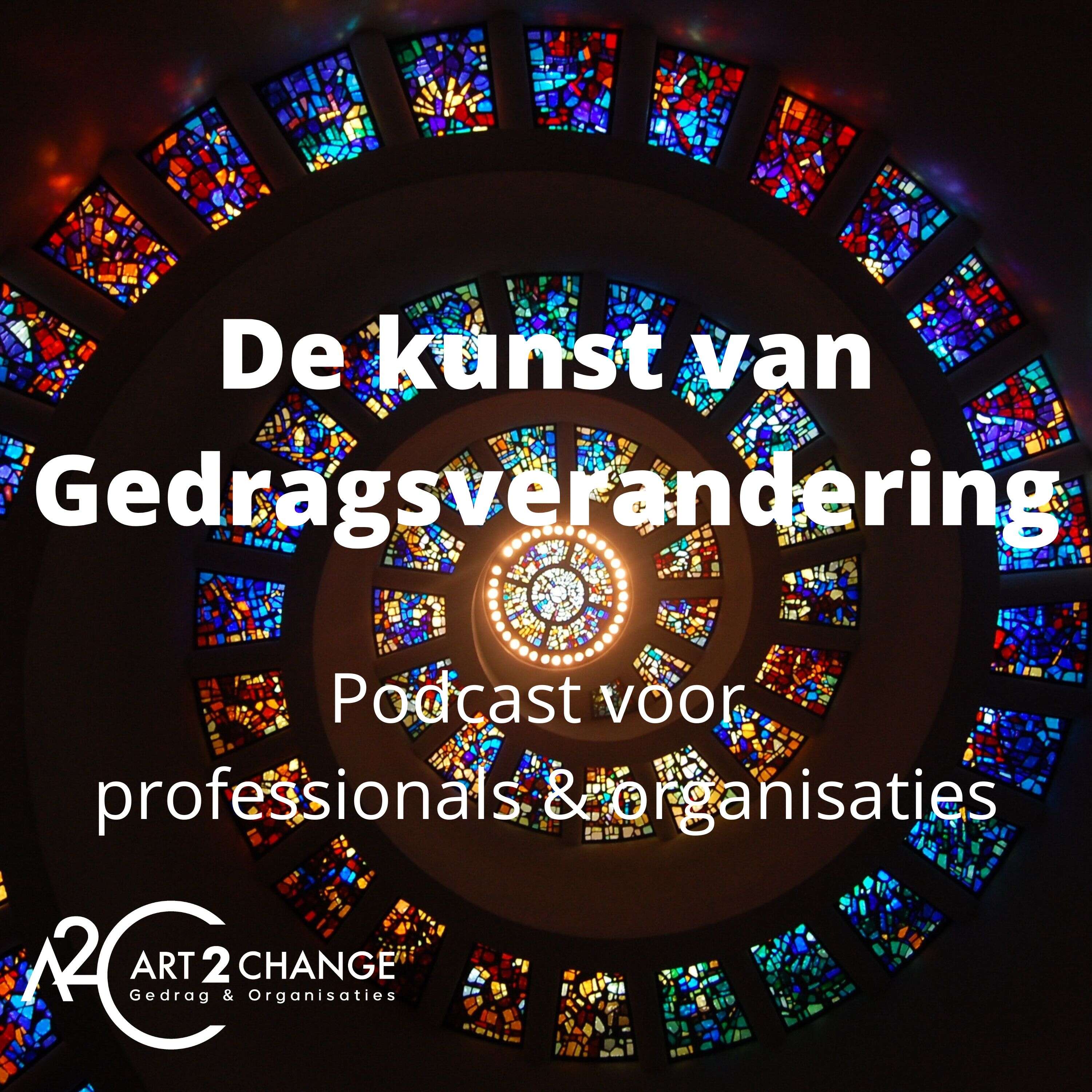 De kunst van Gedragsverandering in organisaties 