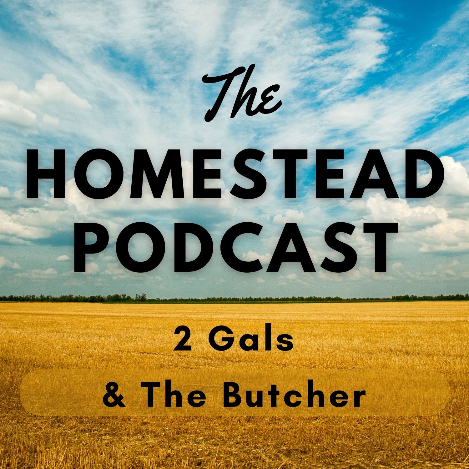 Ep. 04 - 2 Gals and The Butcher